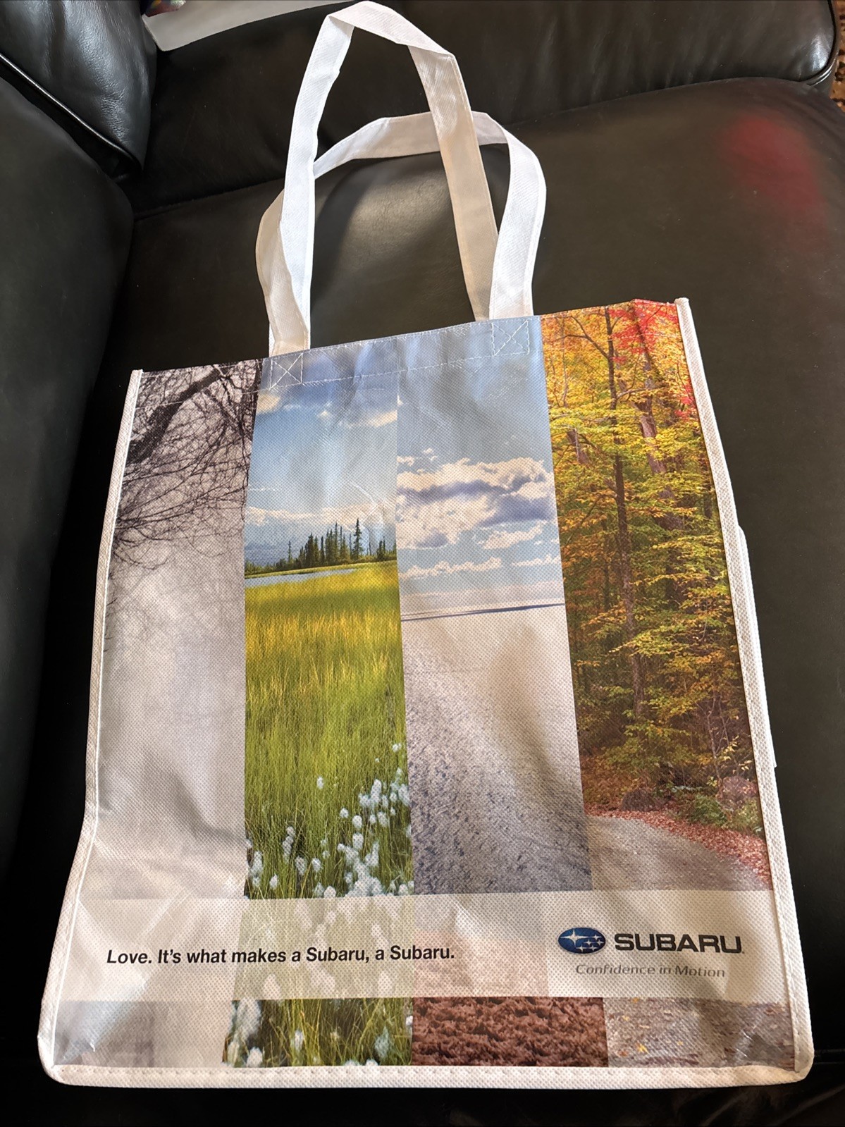 LARGE Subaru Reusable 4 Season Shopping Bag 13”L X 16” H X 10” W White Handles