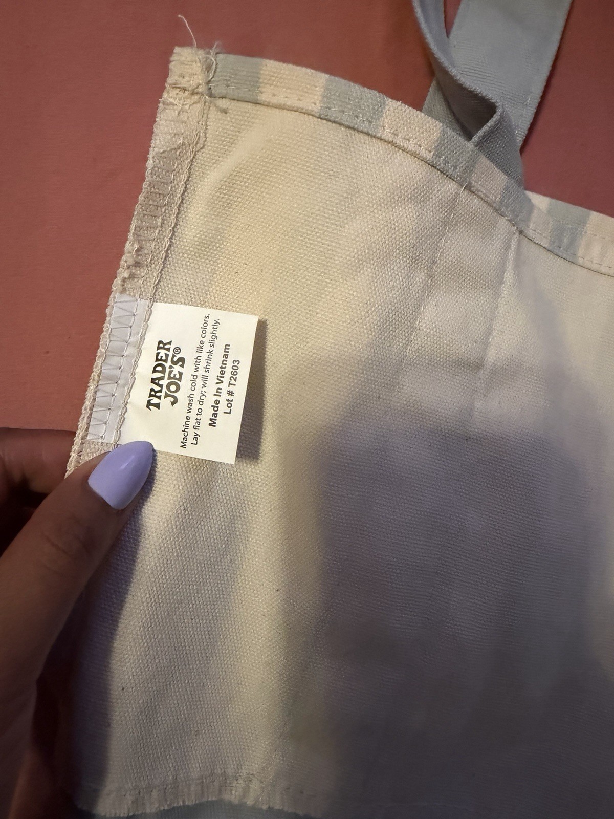 Brand new Trader Joe’s Stripped tote Light blue June 2026