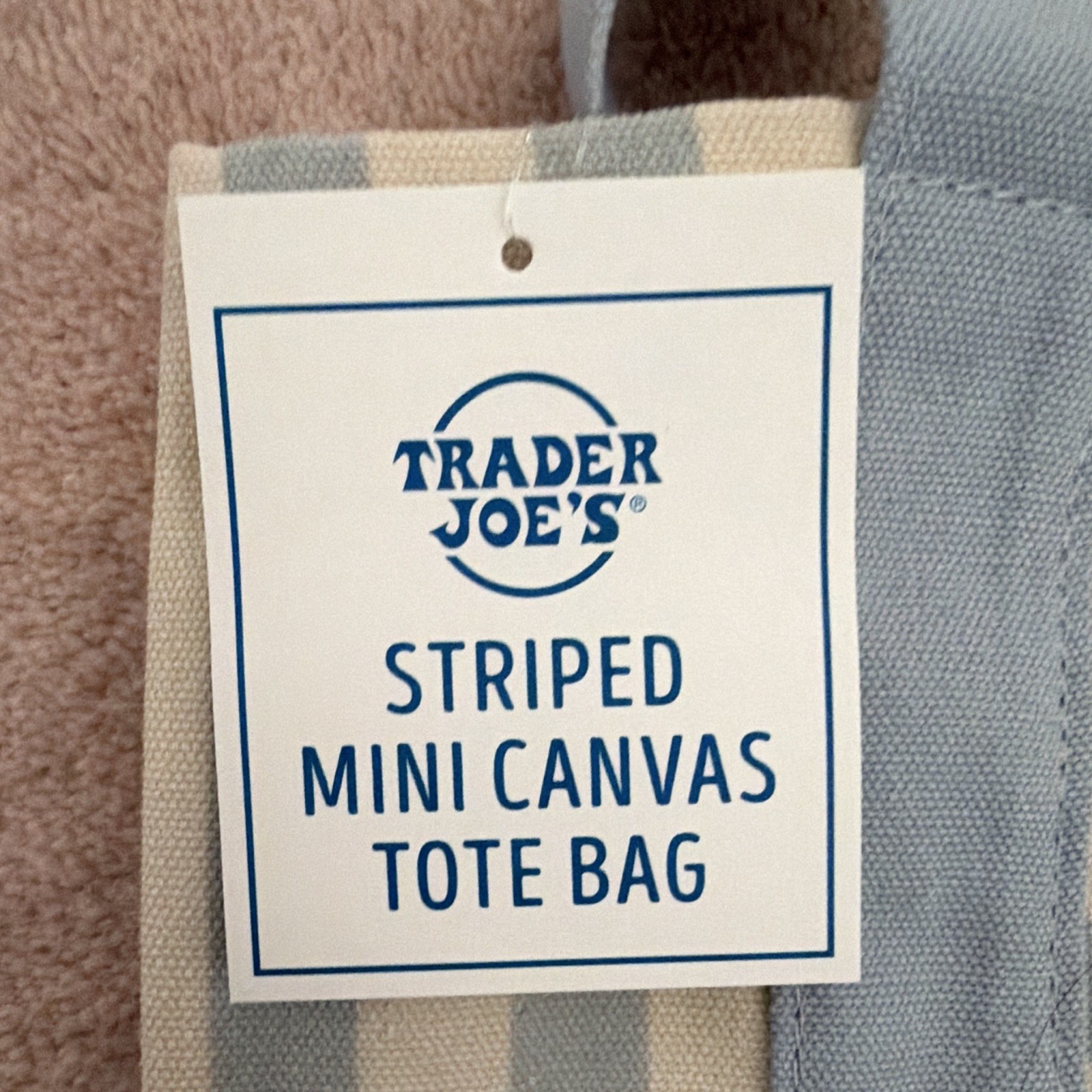 Trader Joe’s Striped Mini Canvas Tote Bag, Blue & Beige, 1-Pack Original
