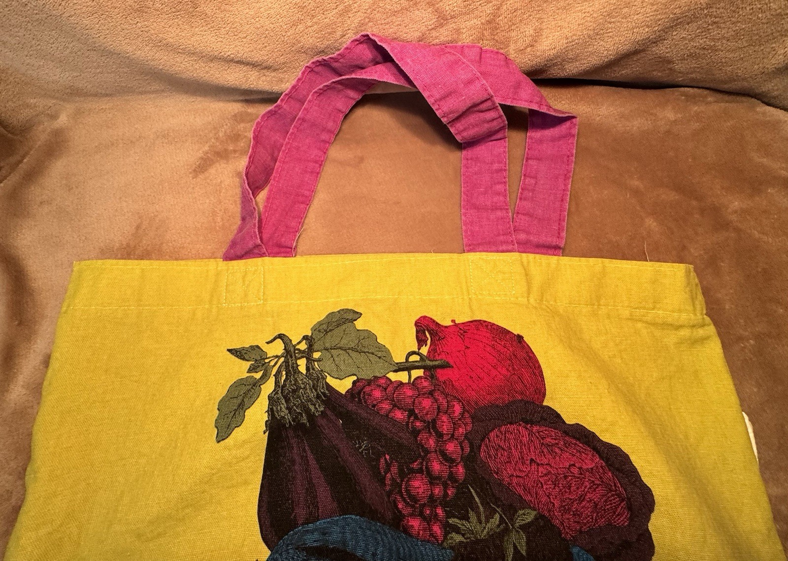 Vintage Trader Joe’s Reusable Canvas Bag Made In USA Fruit Lady Funky Art Tote