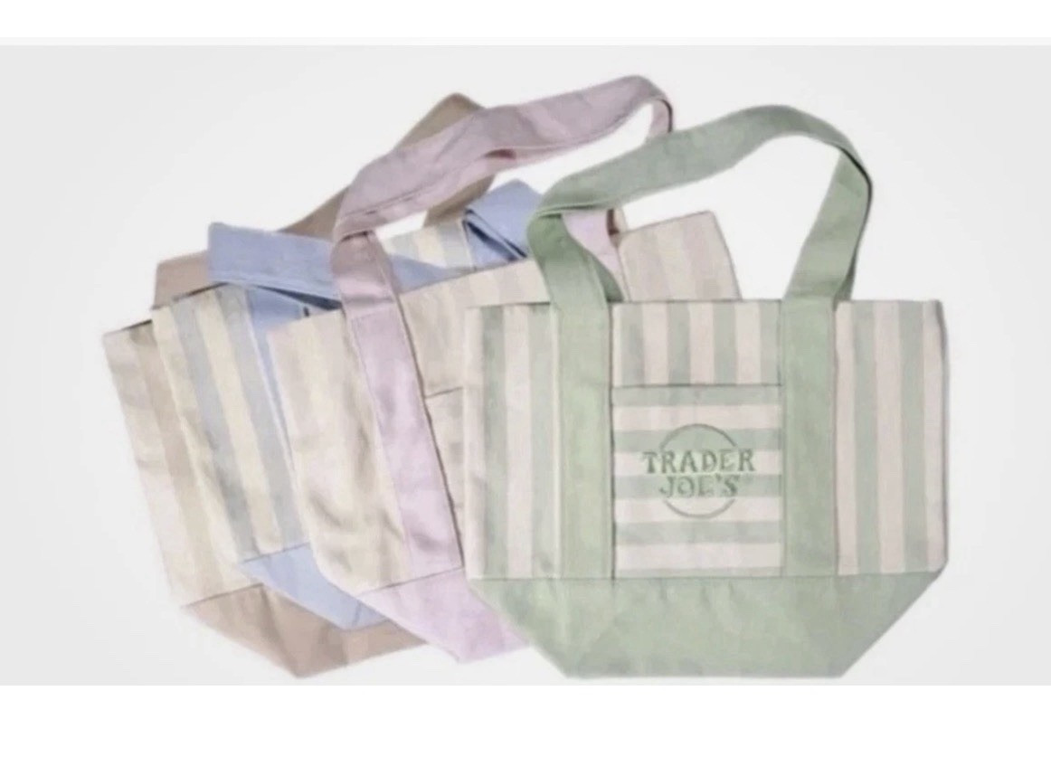 Trader Joe’s Small Canvas Tote Bag Multicolor Striped 13×14 in