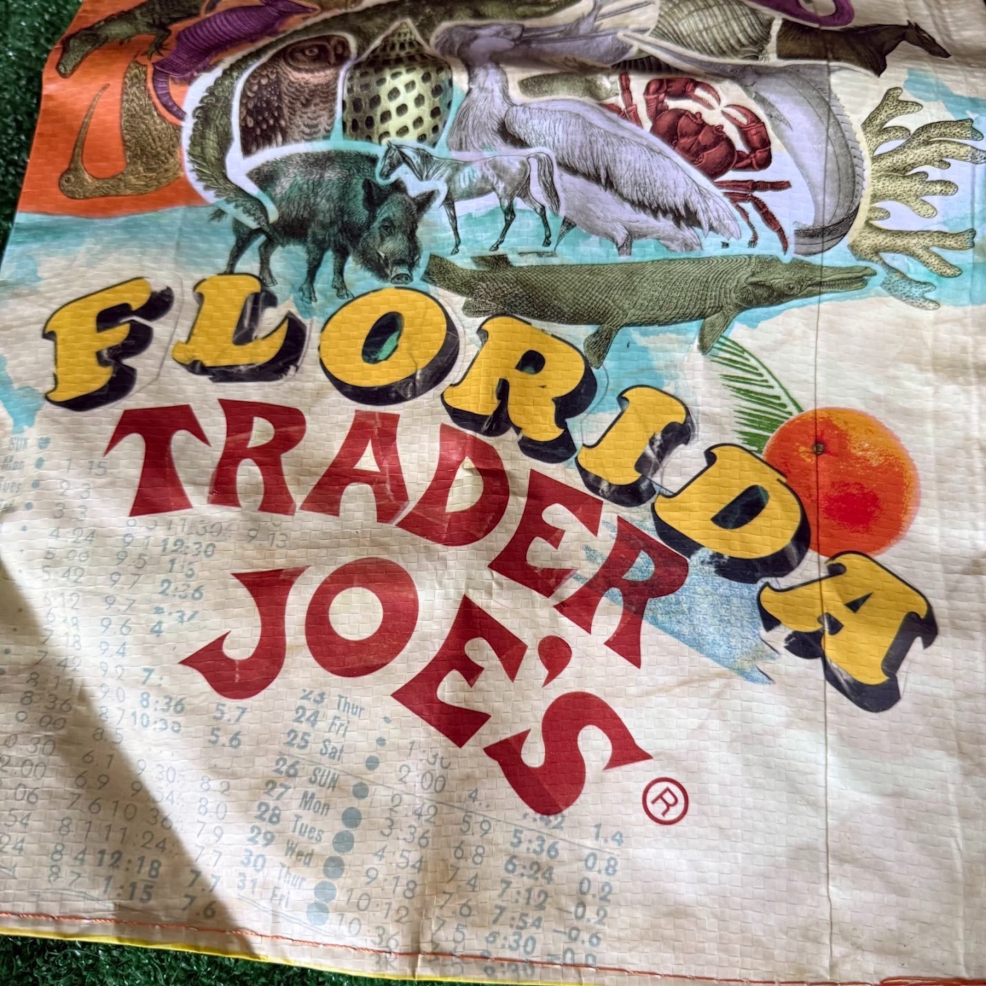 Trader Joe’s Florida Reusable Grocery Bag Orange Tote Regional Limited Edition