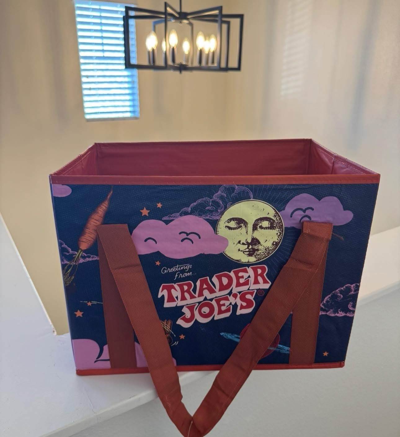Trader Joe’s Stand-Up Collapsible Grocery Tote Bag Multicolor, Holds 6 Gal