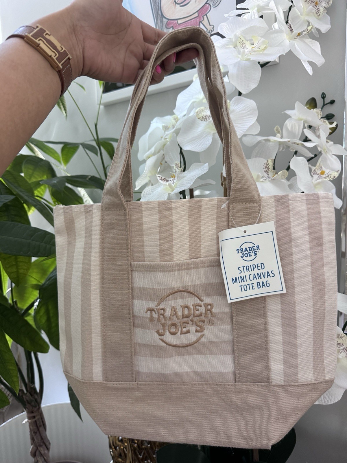 Trader Joe’s Striped Mini Canvas Tote Bag Beige Tan 13x6x11 in New