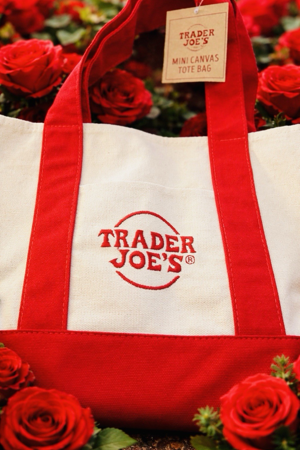 Trader Joe’s Mini rare canvas tote Bag Red White Small Foldable Cotton Polyester