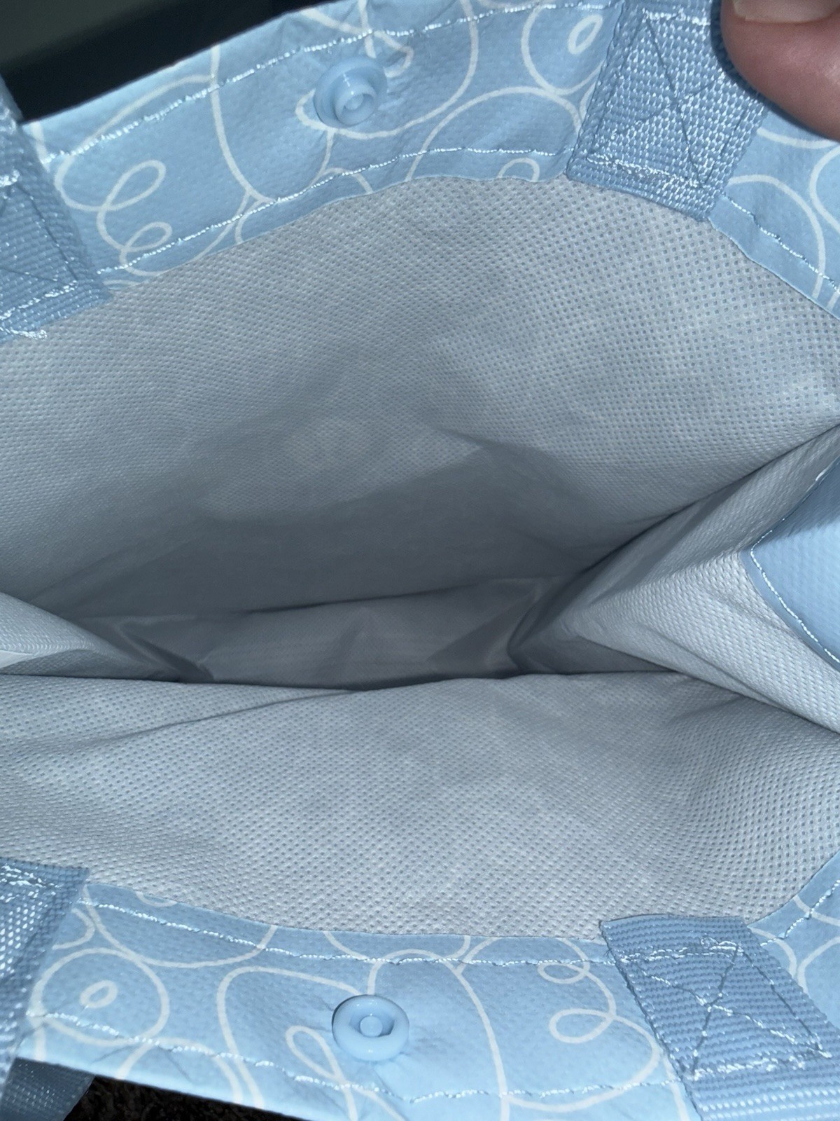 Lululemon Reusable Shopping Bag Bundle – Mint Green Large + Blue Mini Tote Rare