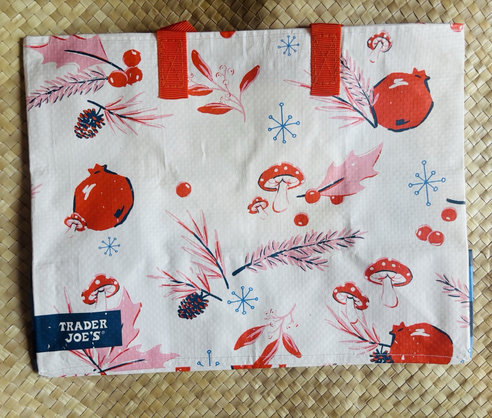 Trader Joe’s Reusable Holiday Gift Bag White NEW with Tags