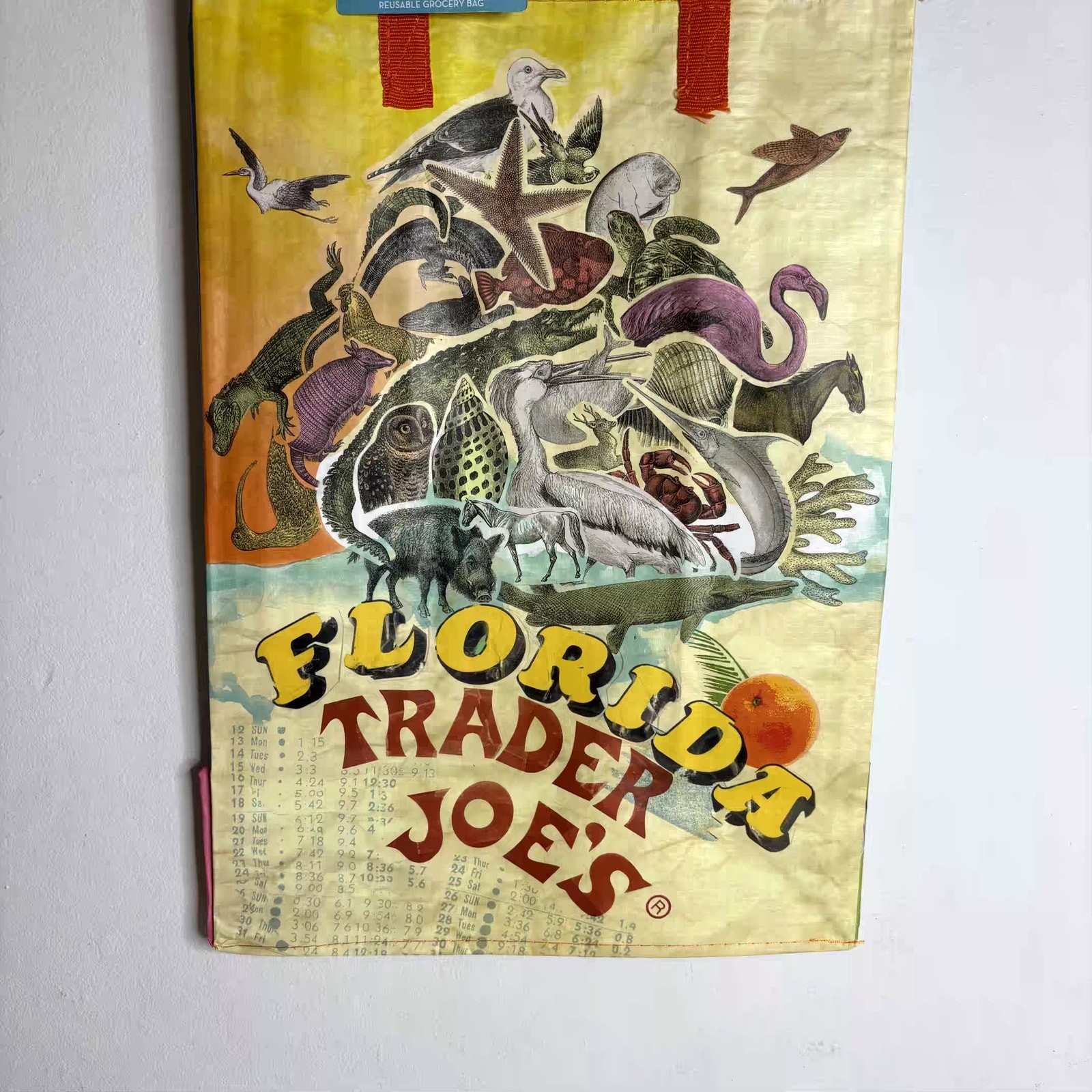 Trader Joe’s Florida Sunshine State Citrus Orange Tote Bag Reusable Shopper NWT!