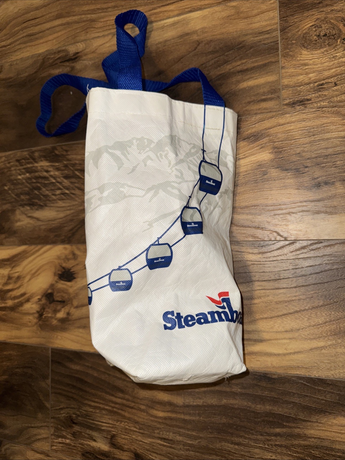Steamboat Ski Resort Town Storage Tote White Blue Single Bottle Small Bag Used