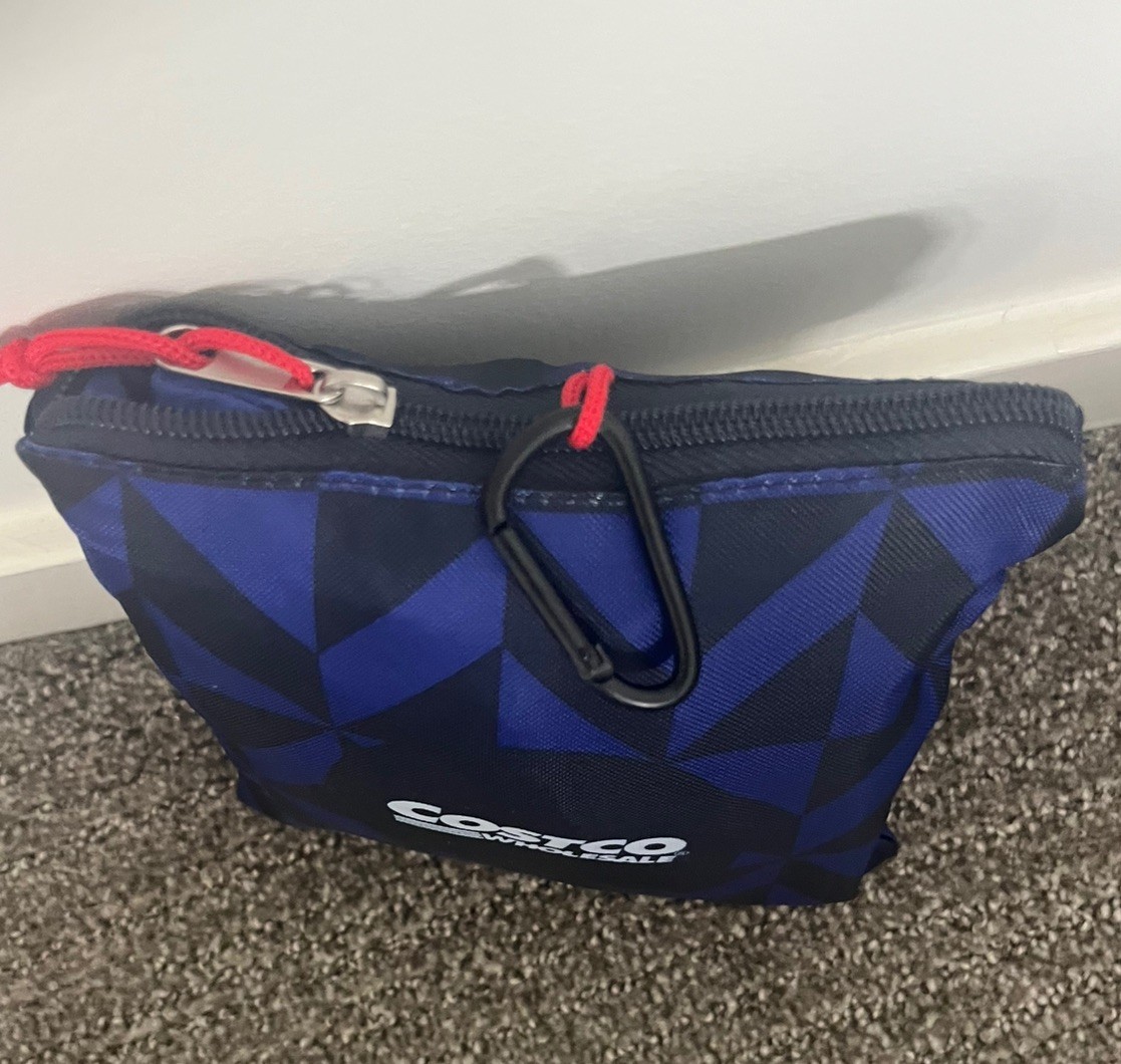 COSTCO Wholesale Reusable Cooler Bag Keychain Mini Zippered Pouch Blue