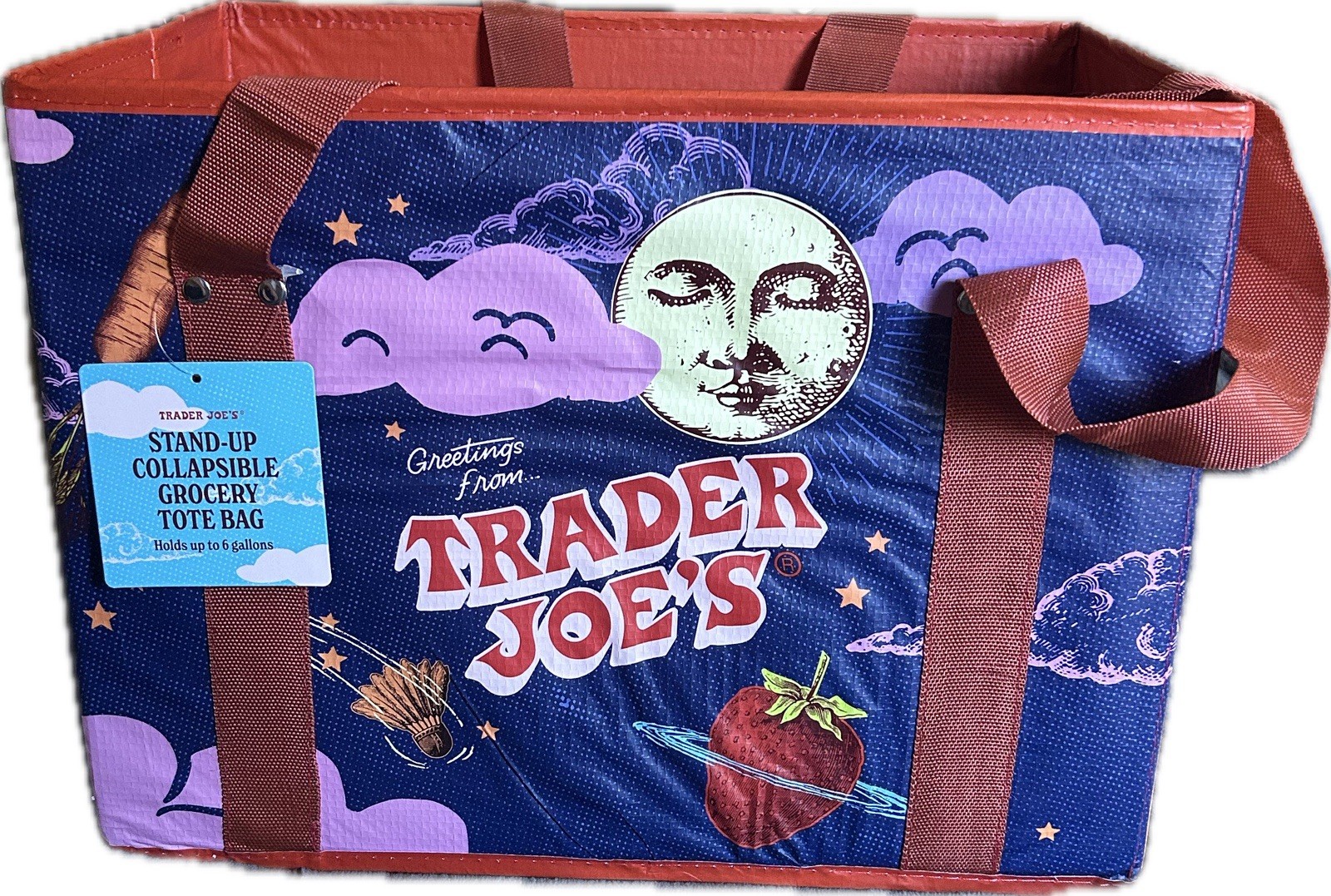 Trader Joe’s Stand-Up Collapsible Reusable Tote Bag 6 Gal Large