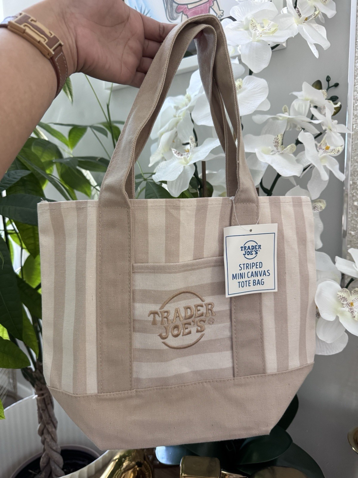 Trader Joe’s Striped Mini Canvas Tote Bag Beige Tan 13x6x11 in New