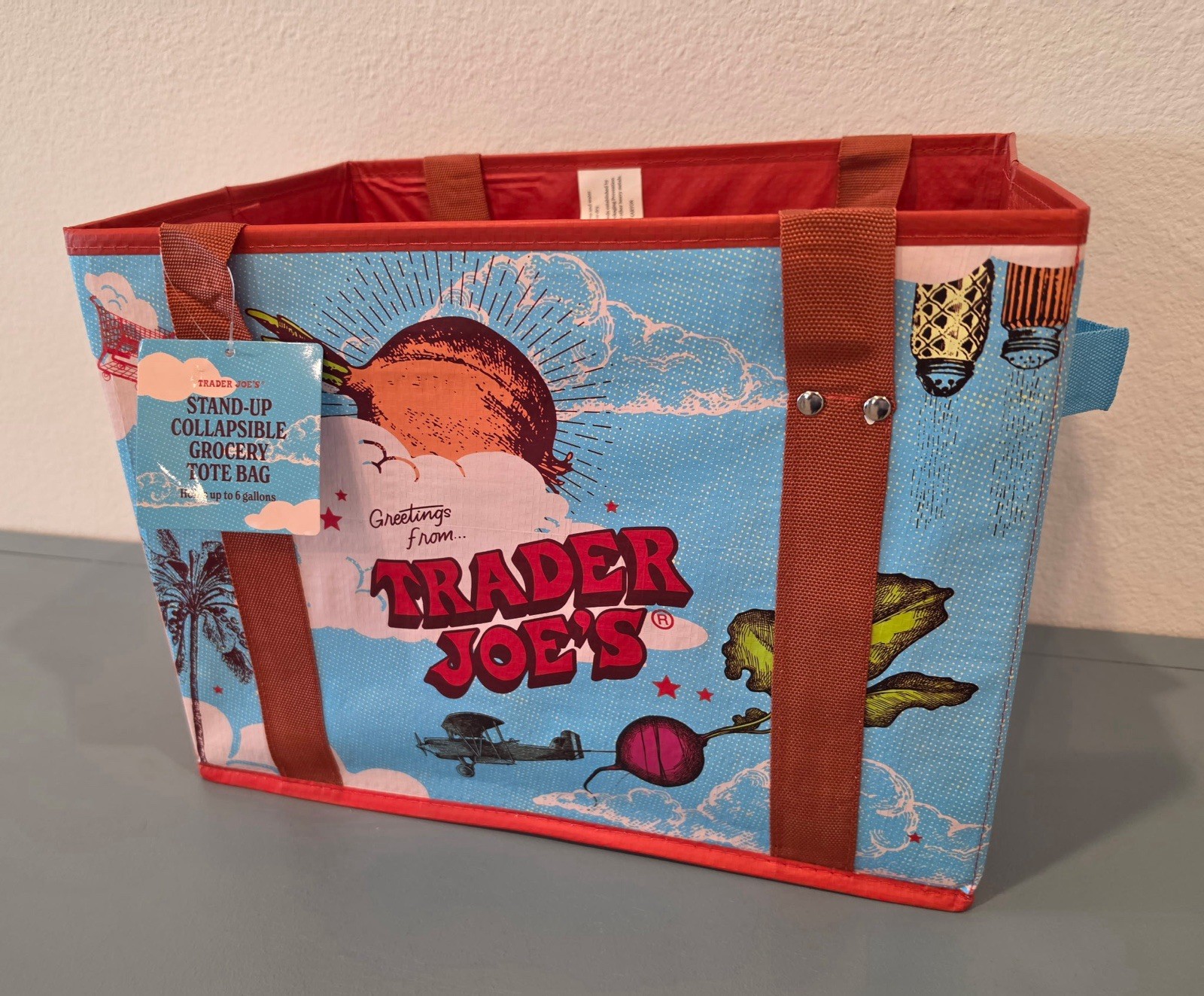 Trader Joe’s Collapsible Stand-Up Reusable Shopping Bag Multicolor 6 Gal