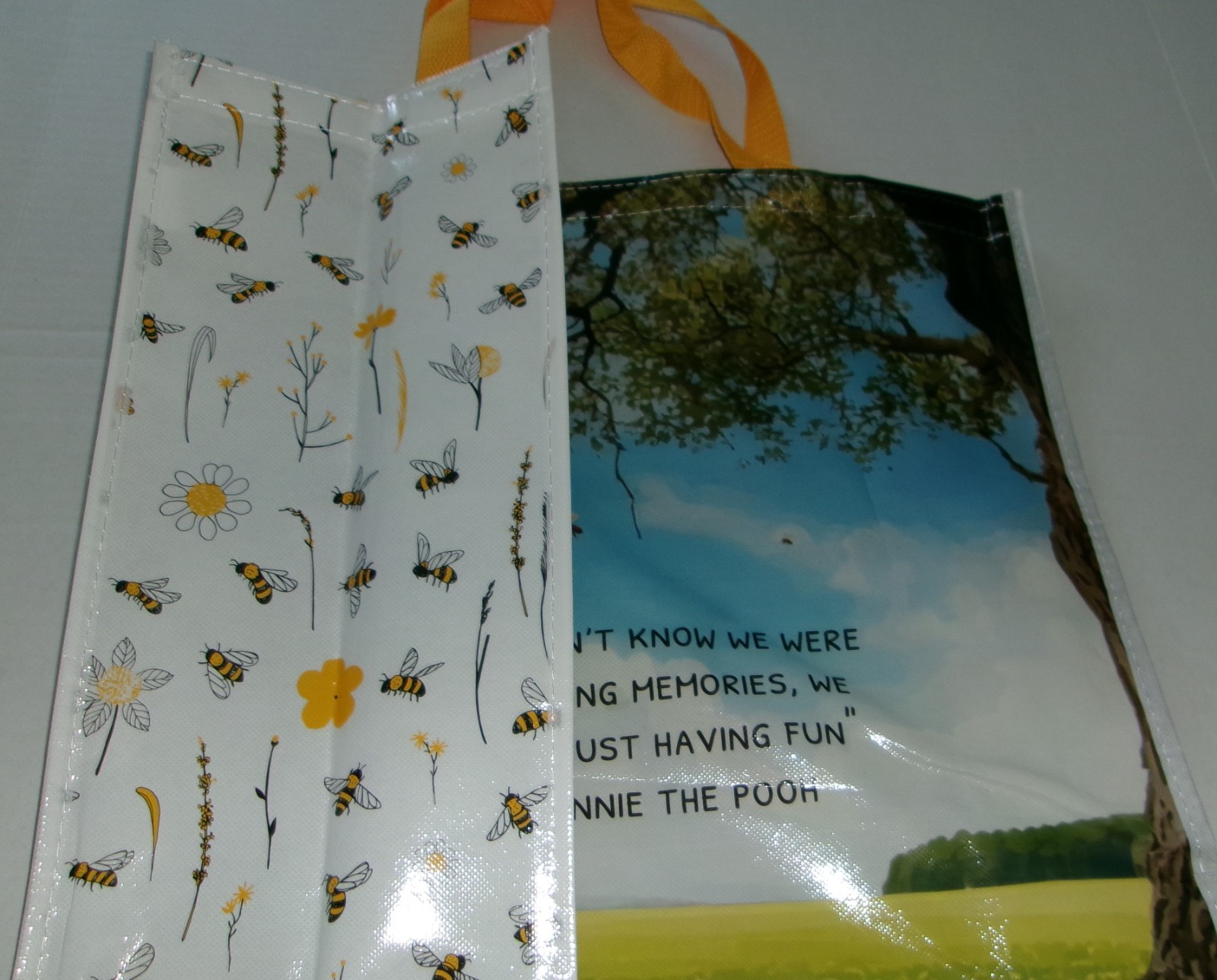 Reusable Tote Bag ~ 19″X17″X7″~CREATING MEMORIES/JUST HAVING FUN/WINNIE THE POOH