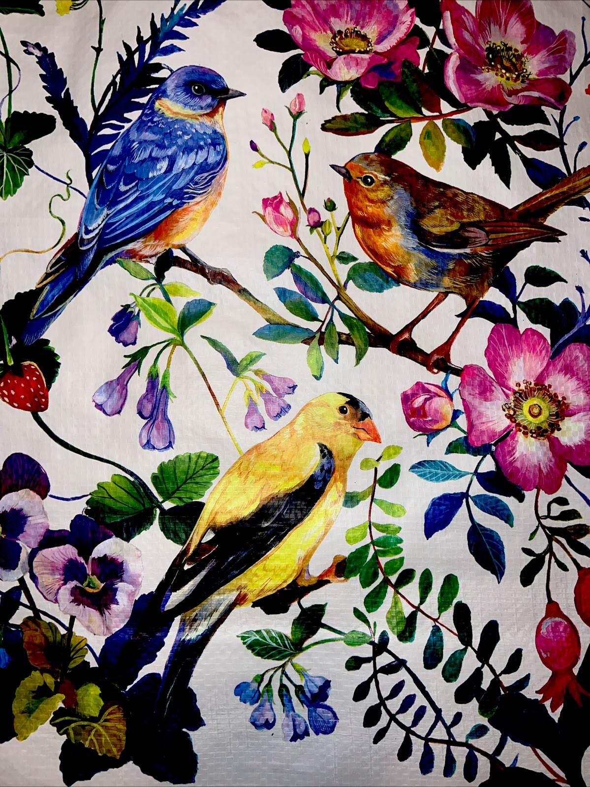 REUSABLE SHOPPING TRAVEL TOTE BAG FLORAL🦋 ECO FRIENDLY TJX BIRDS🌸