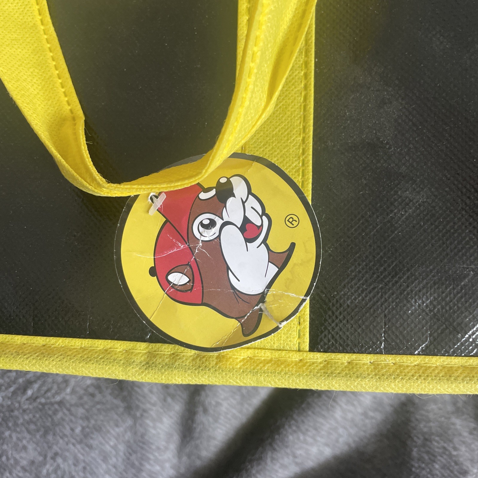 Buc-ee’s Insulated Bag 13.5″ x 11″ x 7″ -NWT!