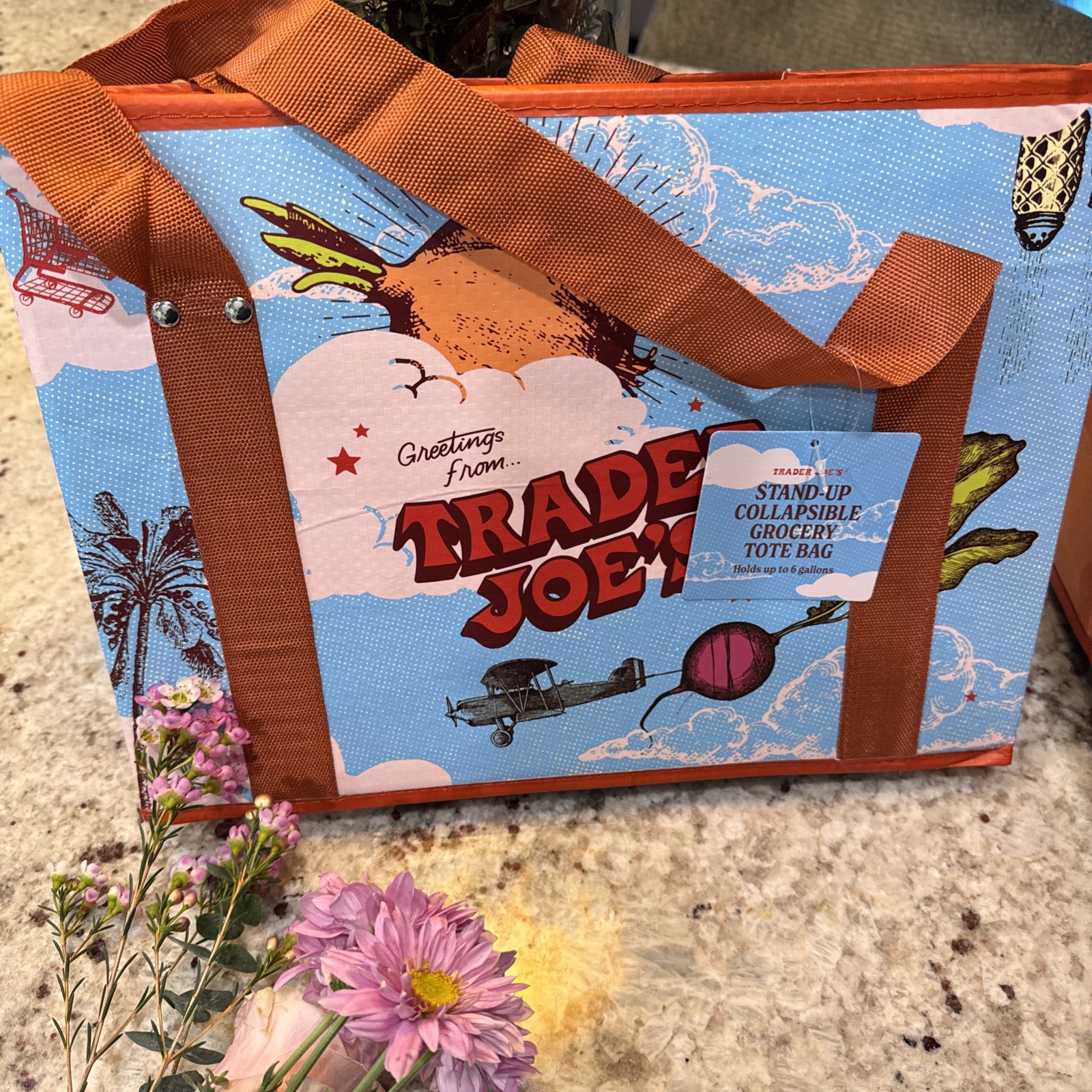 Trader Joe’s Stand-Up Collapsible Grocery Tote Bag NWT