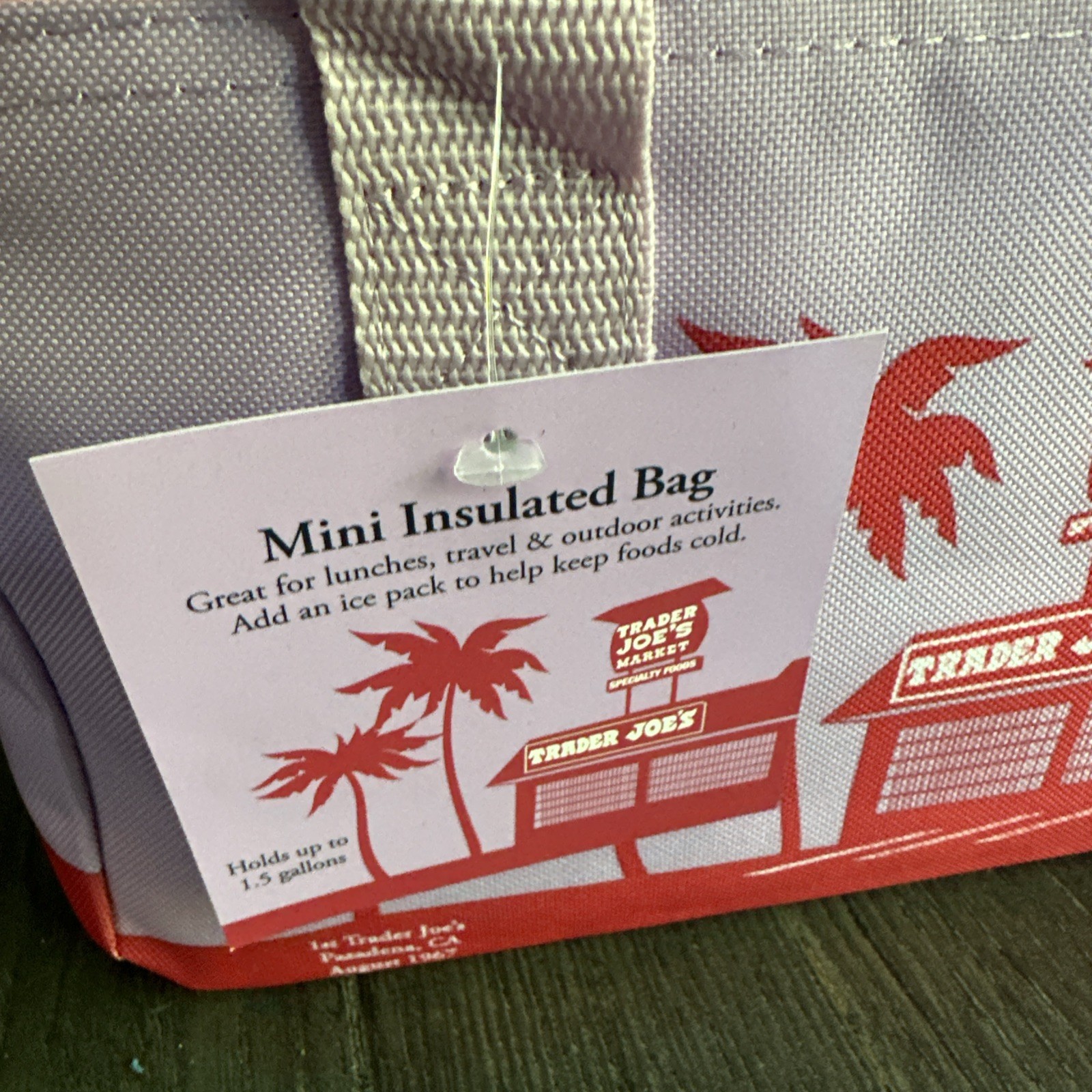 Trader Joe’s mini Insulated Tote Bag Purple & Pink 1.5 Gallon Zipper Handles