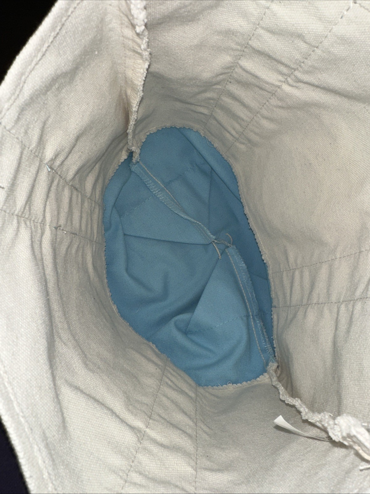 – TRADER JOE’S ~ PASTEL BABY BLUE COLOR ~ MINI CANVAS TOTE BAG ~ BRAND NEW ~
