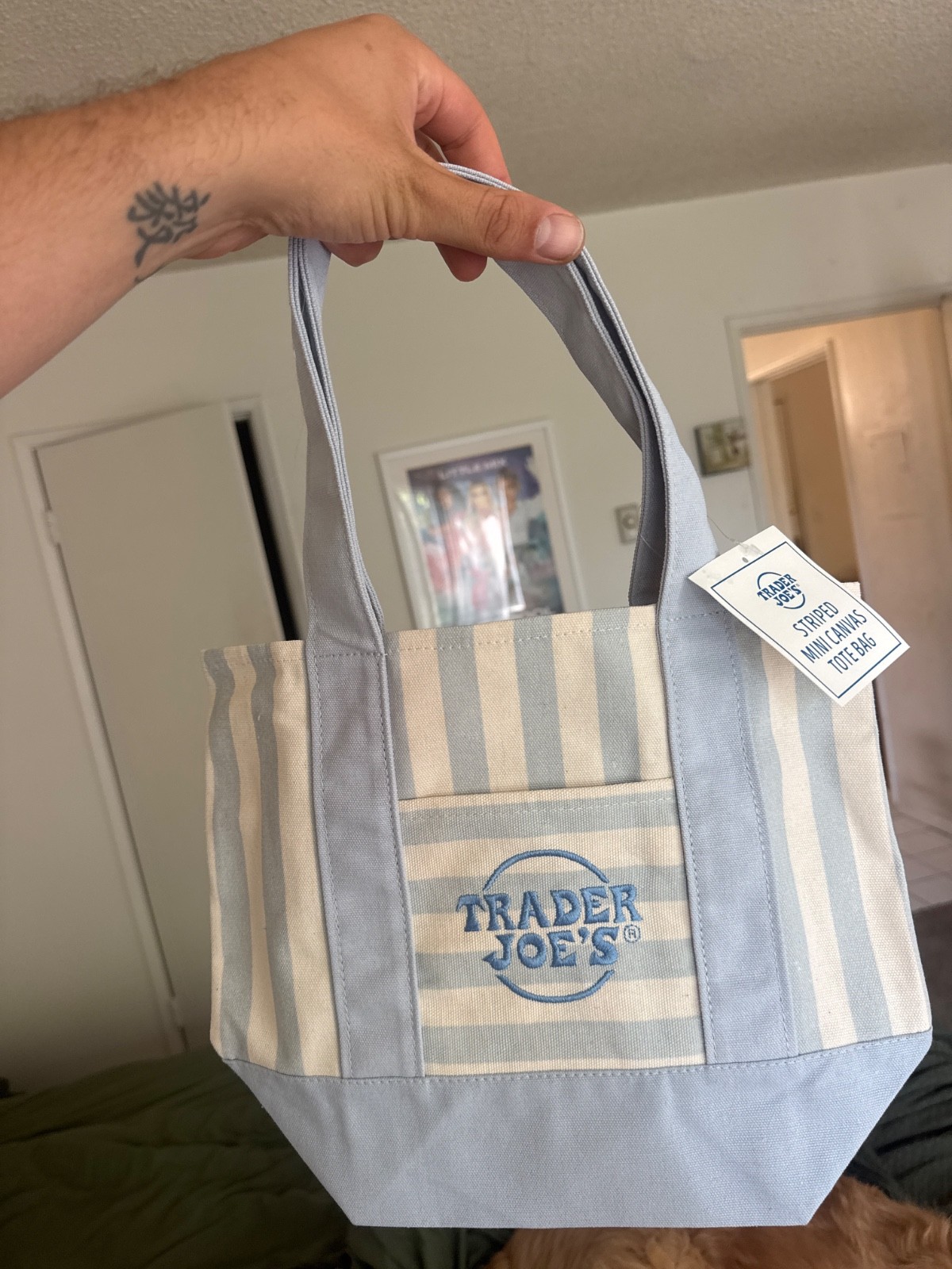 Trader Joe’s Striped Mini Canvas Tote Bag Blue/White Cotton Polyester Reusable
