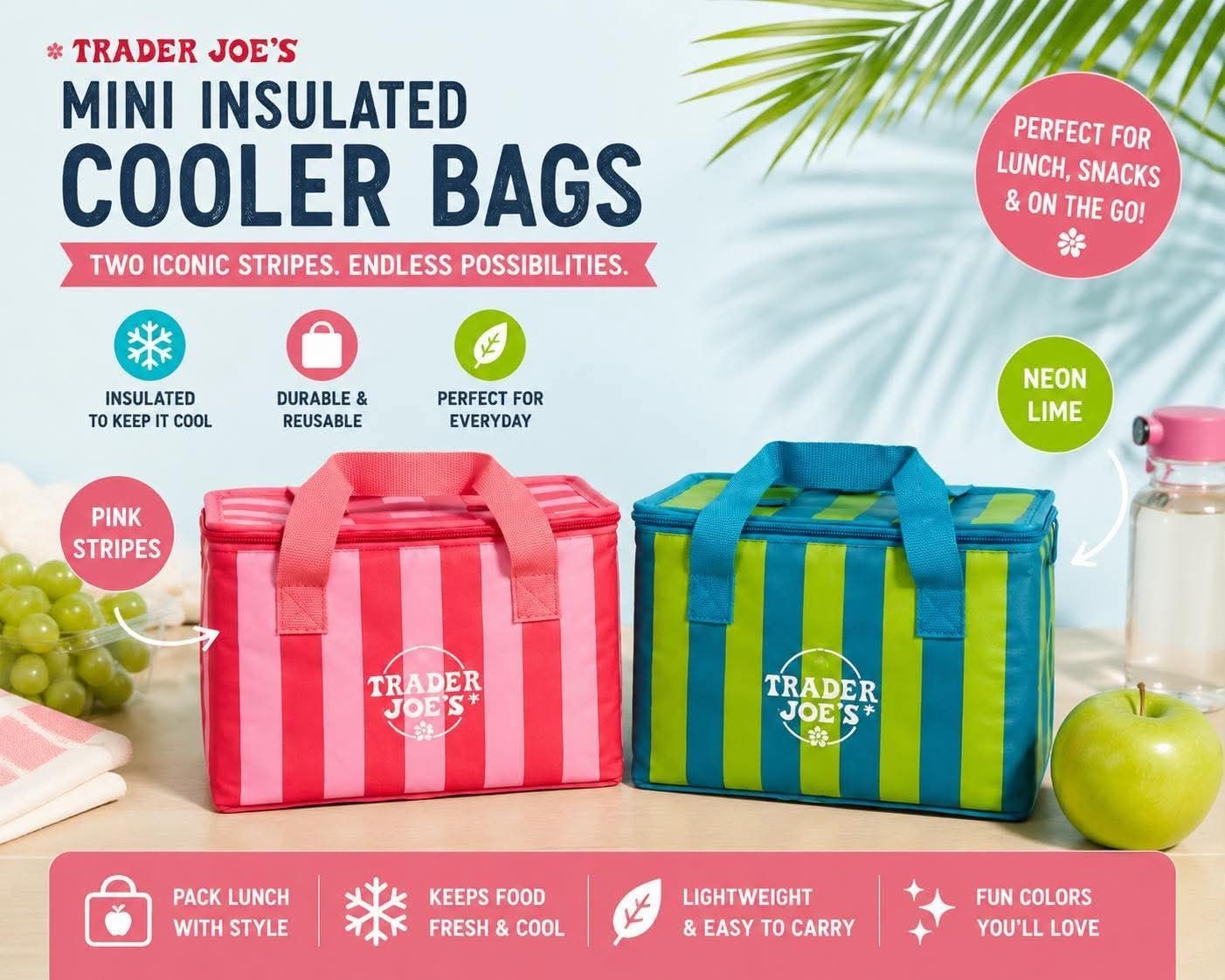 Trader Joe’s Mini Insulated Bags All Colors