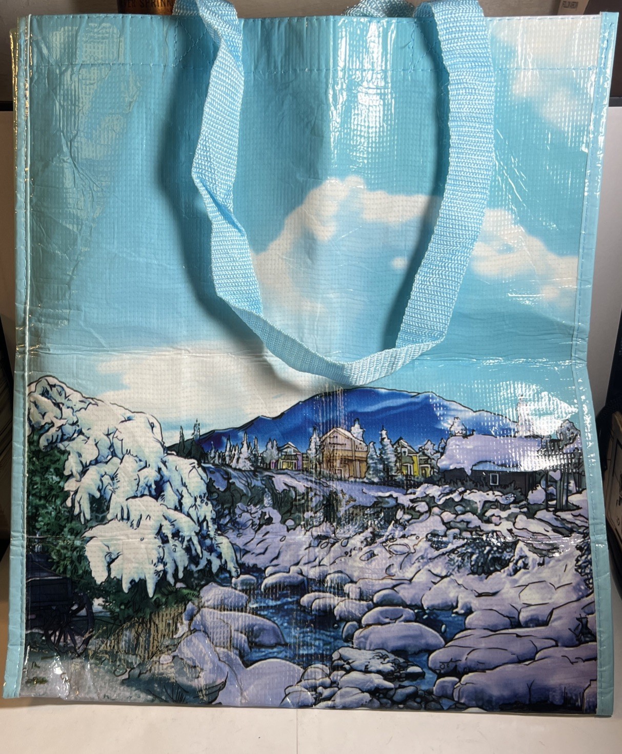Reusable Plastic Tote Bag Breckenridge Open Space Program CO Mountains River