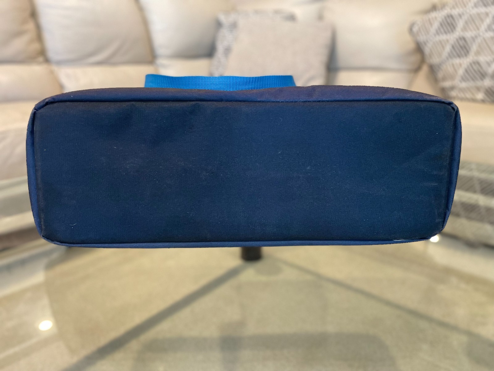 Trader Joe’s Insulated Cooler Bag Pasadena CA Blue Graphic Tote
