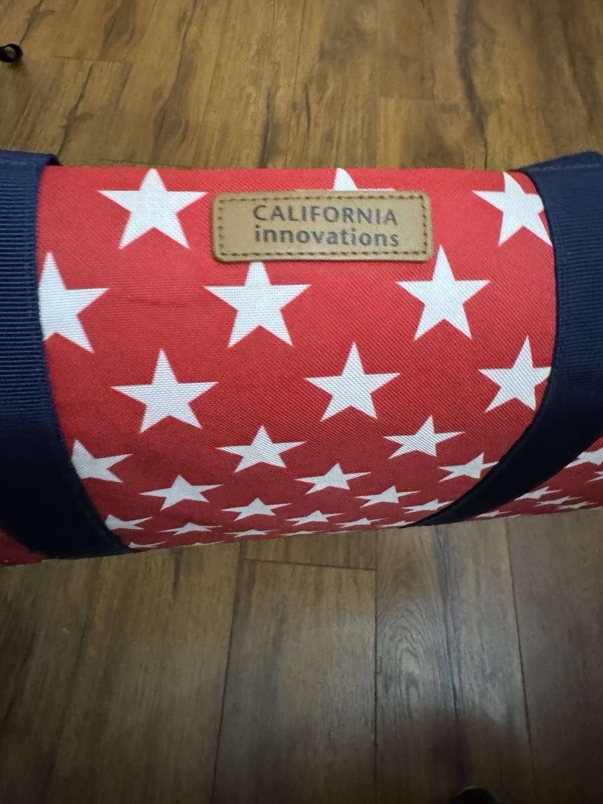 california innovations insulated tote