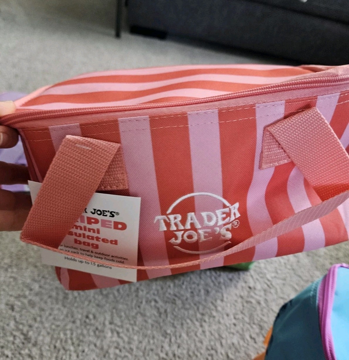 Trader Joe’s 2026 Mini Insulated Cooler Tote Limited Edition SET OF 6!