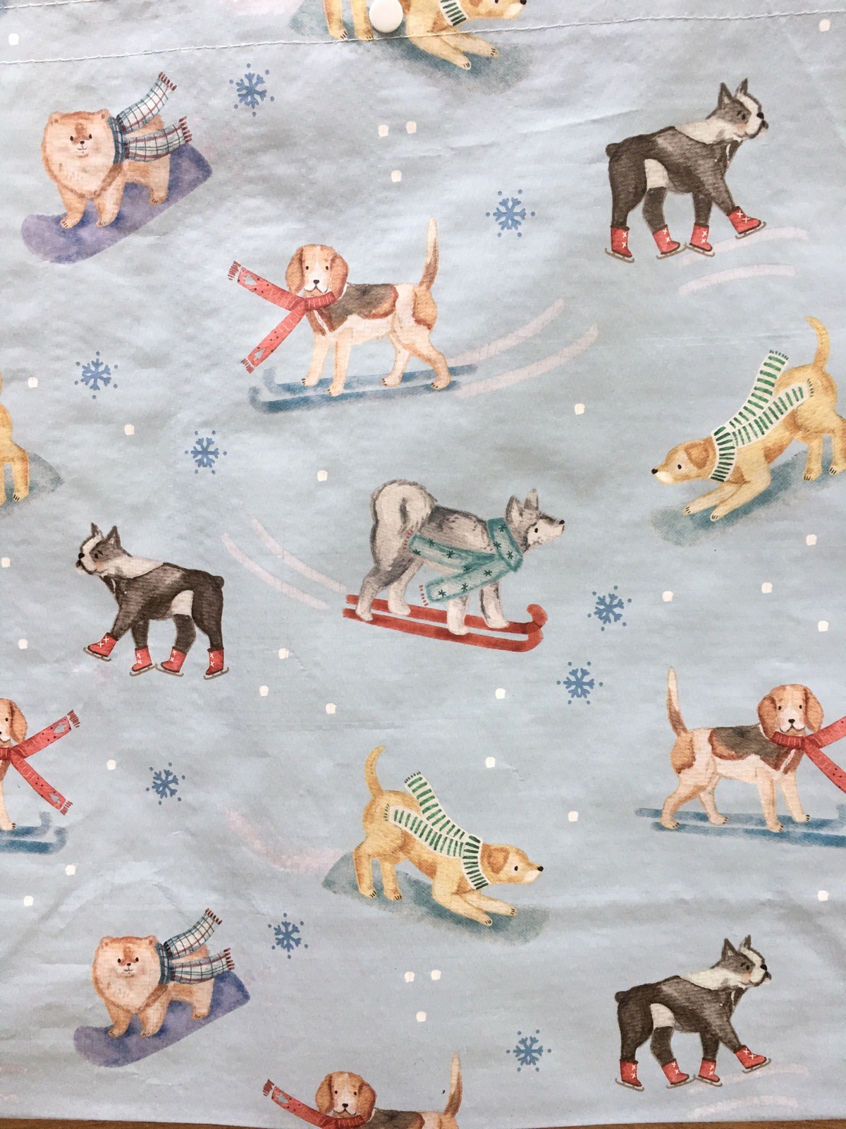 Mixed breed Dogs Winter Sledding Boots Large Reusable Shopping Tote Eco Gift Bag