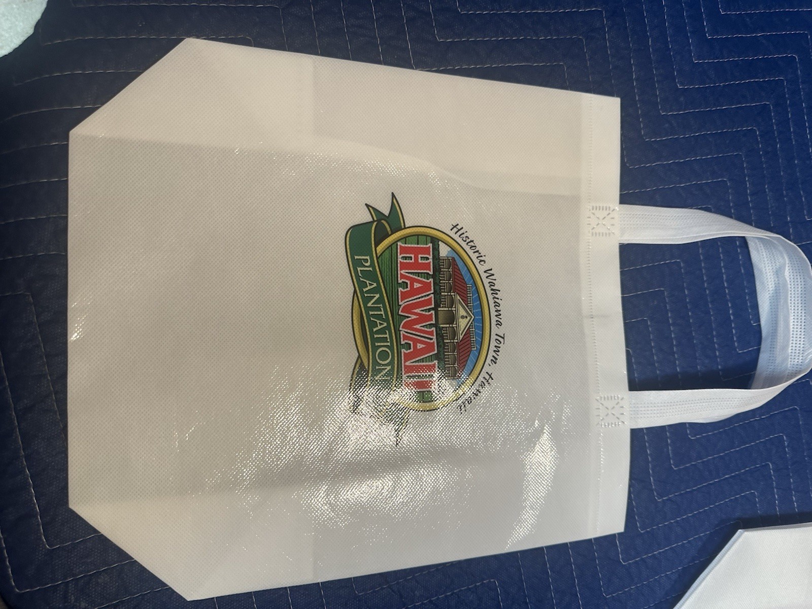 NEW! HAWAII Reusable Shopping Tote Bags (Lot of 3) Small -Souvenirs! See pics!