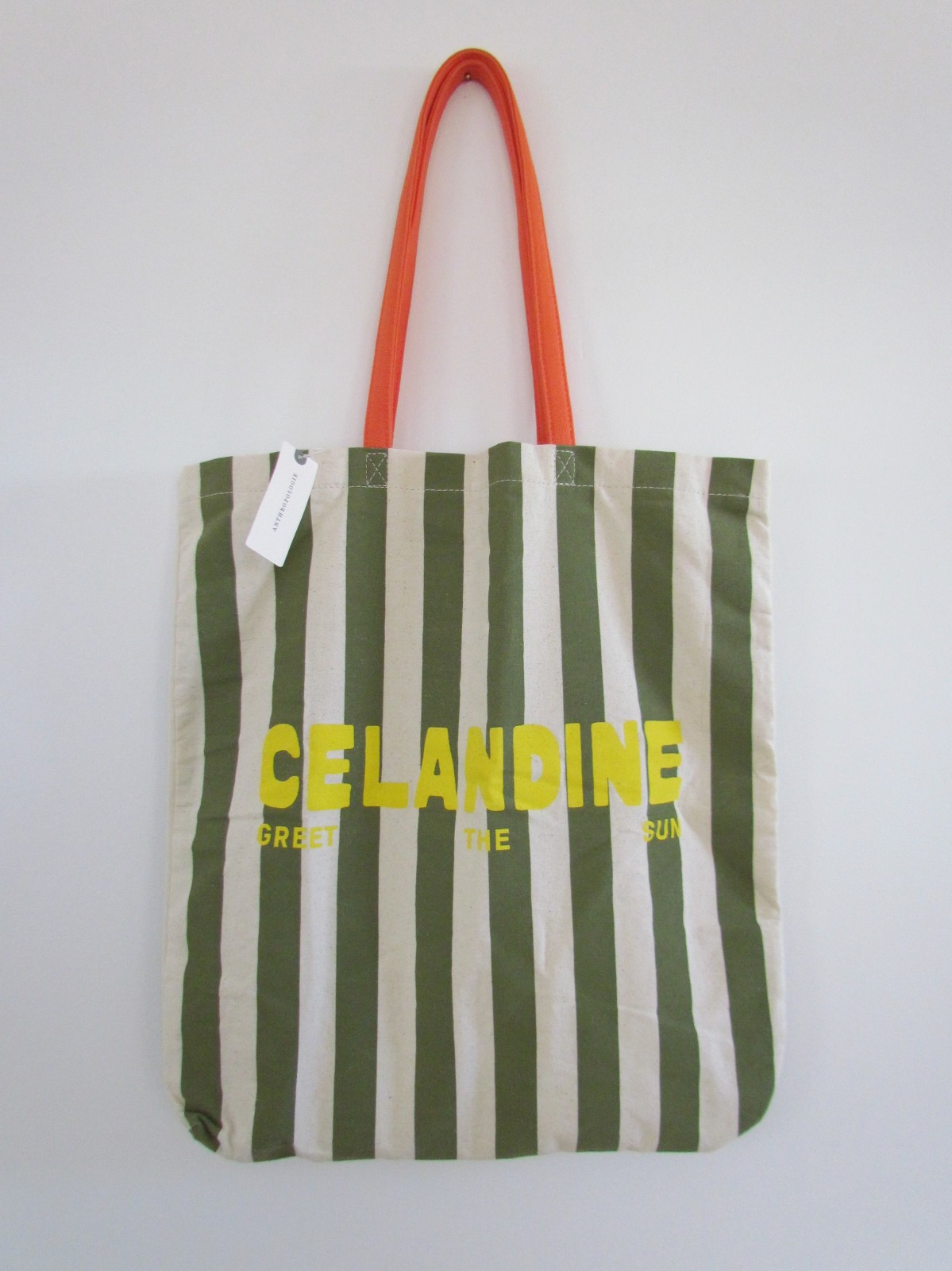 NEW Anthropologie Celandine Tote Bag & Sunglass Case Green Stripe NWT