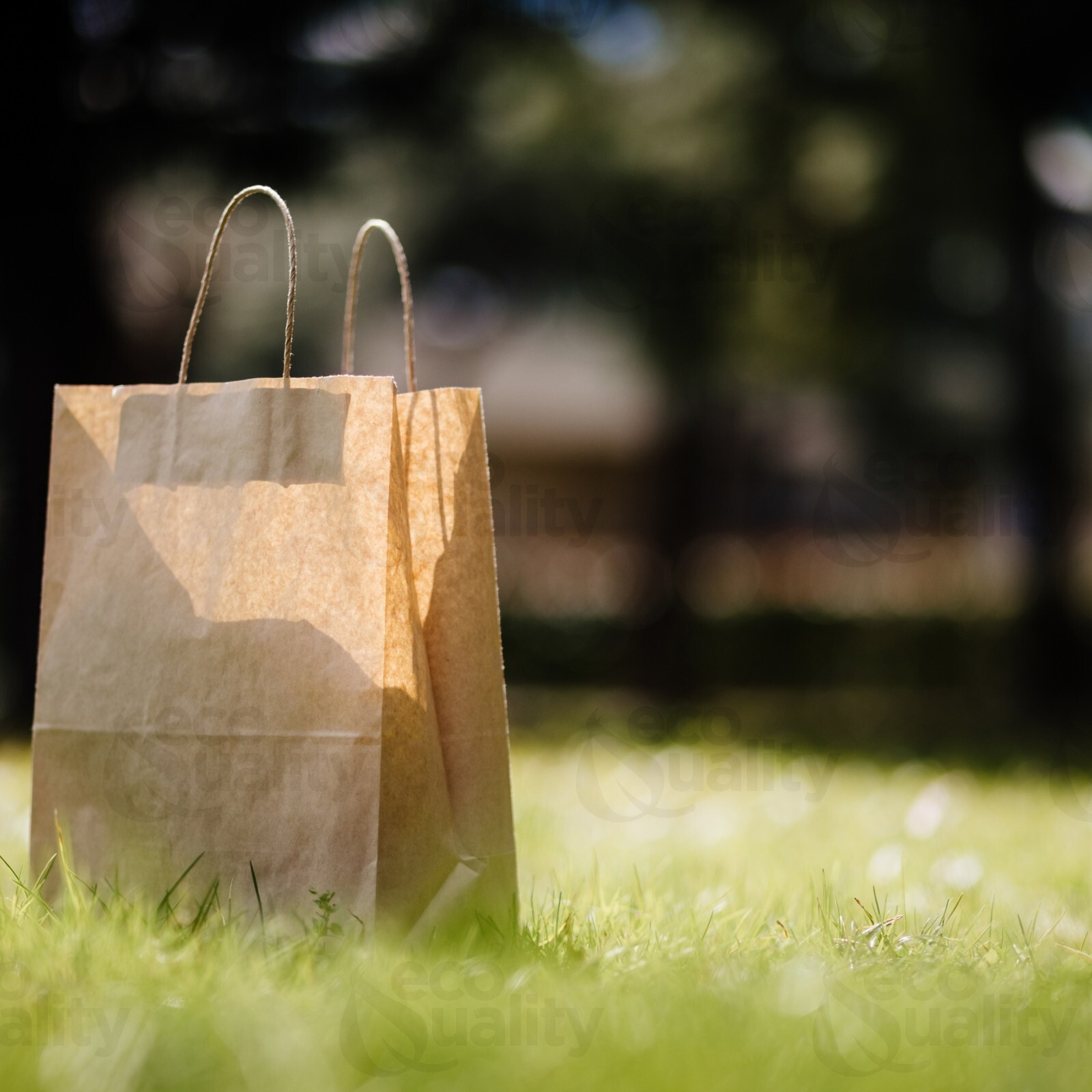 10x5x13 Small Kraft Brown Paper Shopping Bags with Twine Handles Reusable 200pcs