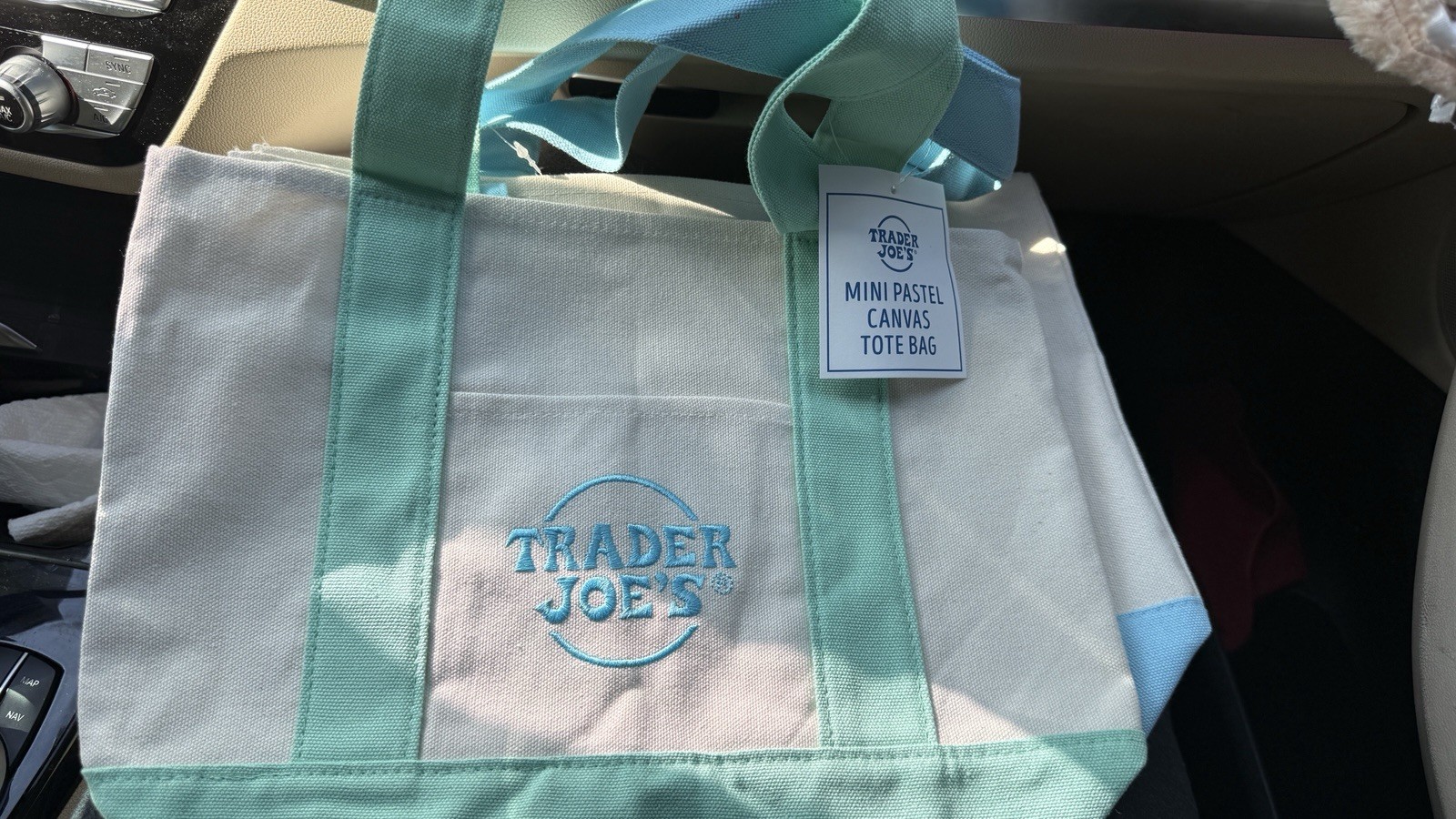 Trader Joe’s Mini tote bag in Green