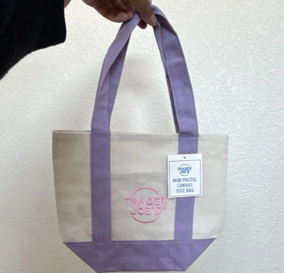 Trader Joe’s Mini Canvas Tote Bag Set Multicolor Pink Purple Blue Green Foldable