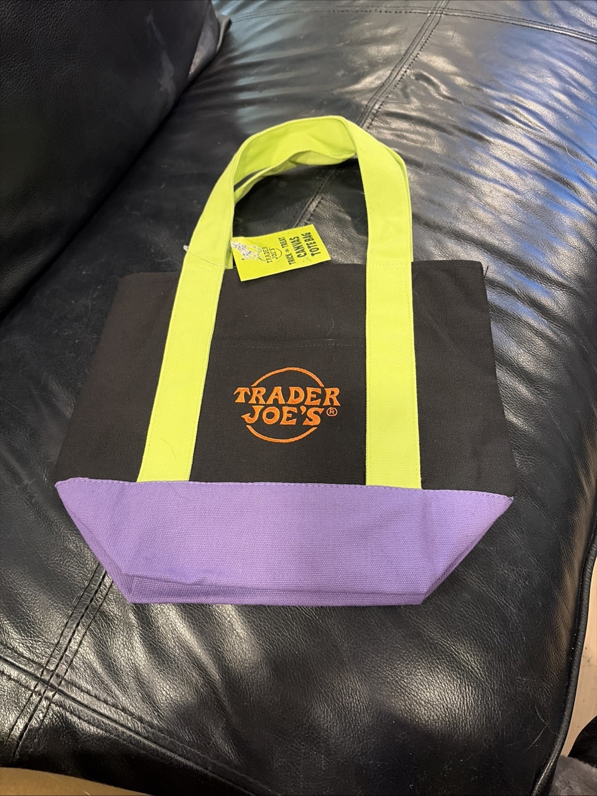 NEW W/ TAGS TRADER JOE’S HALLOWEEN MINI CANVAS TOTE BAG Green/Black/Purple