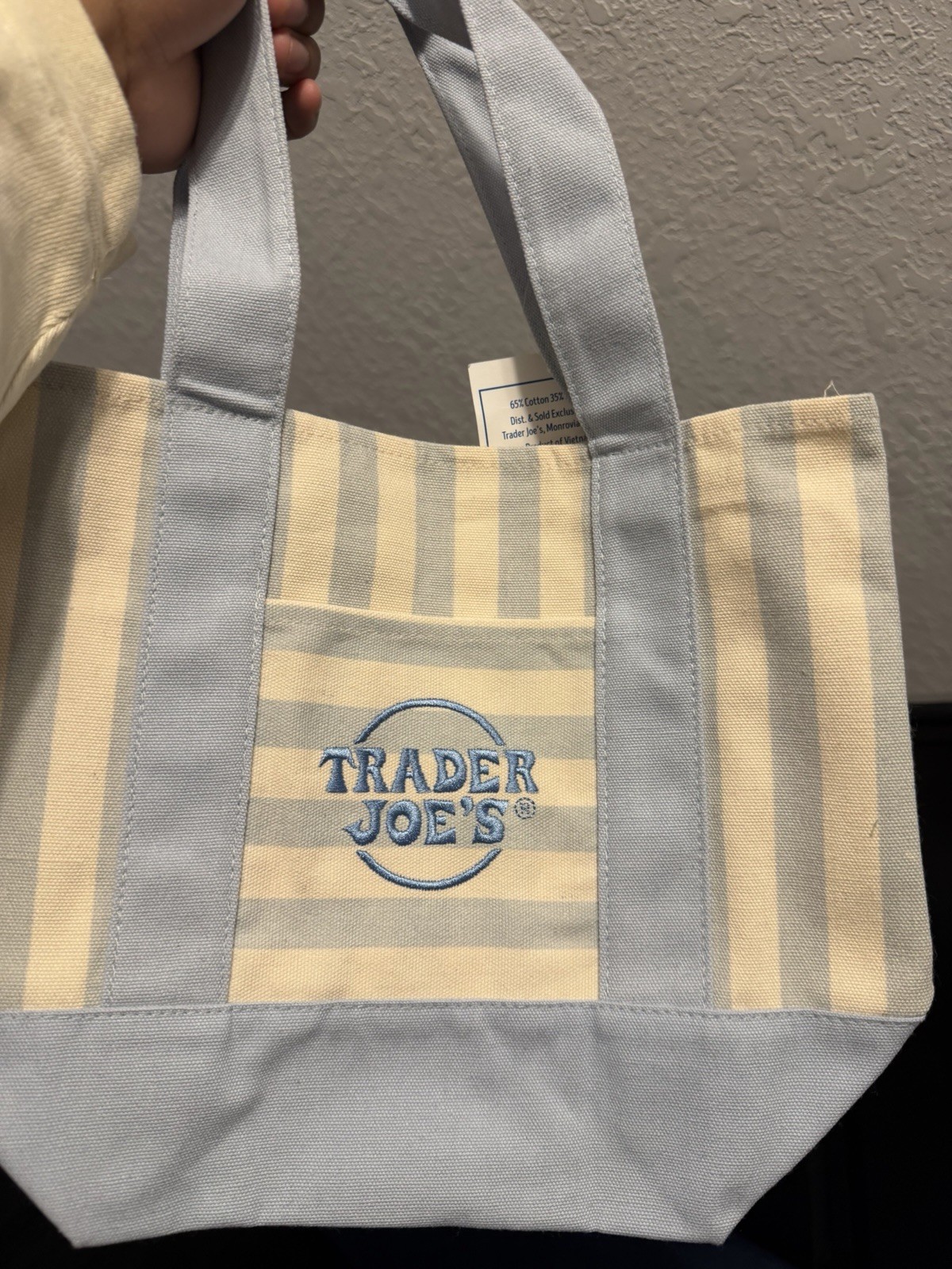 Trader Joe’s Mini Tote Bag Striped Blue Beige