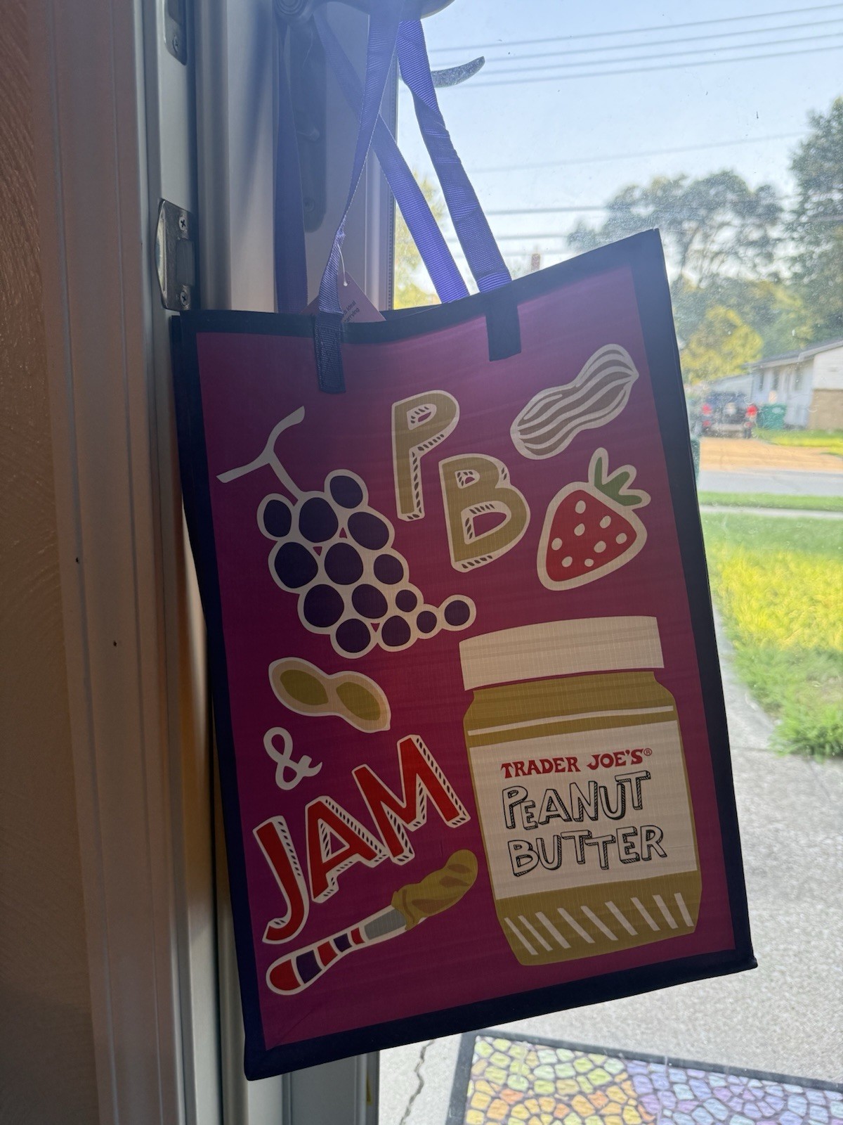 Trader Joe’s Comfort Food 6 Gal Reusable Bag SUMMER 2025 NWT