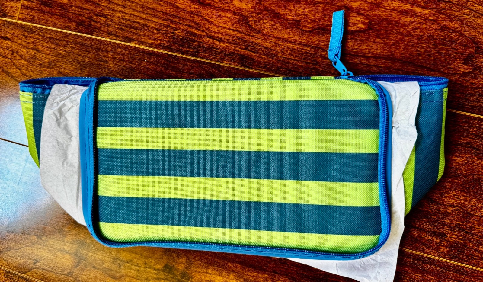 Trader Joes mini insulated bag blue and green stripes