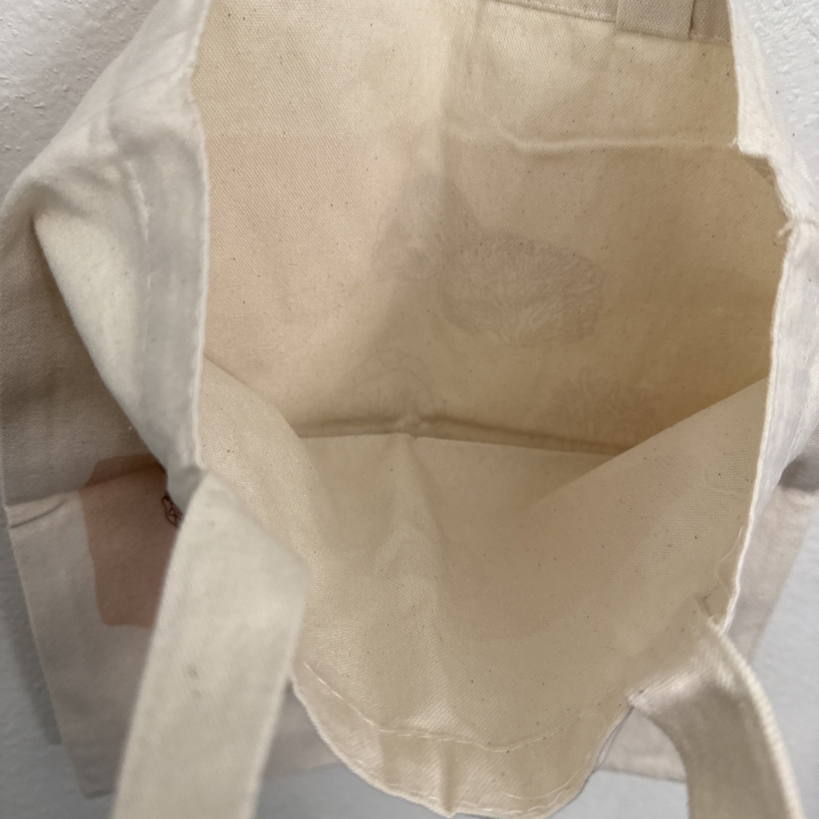 Ryze Mushroom Canvas Tote Bag 13×16” Crunchy Cottagecore Foraging Shopper