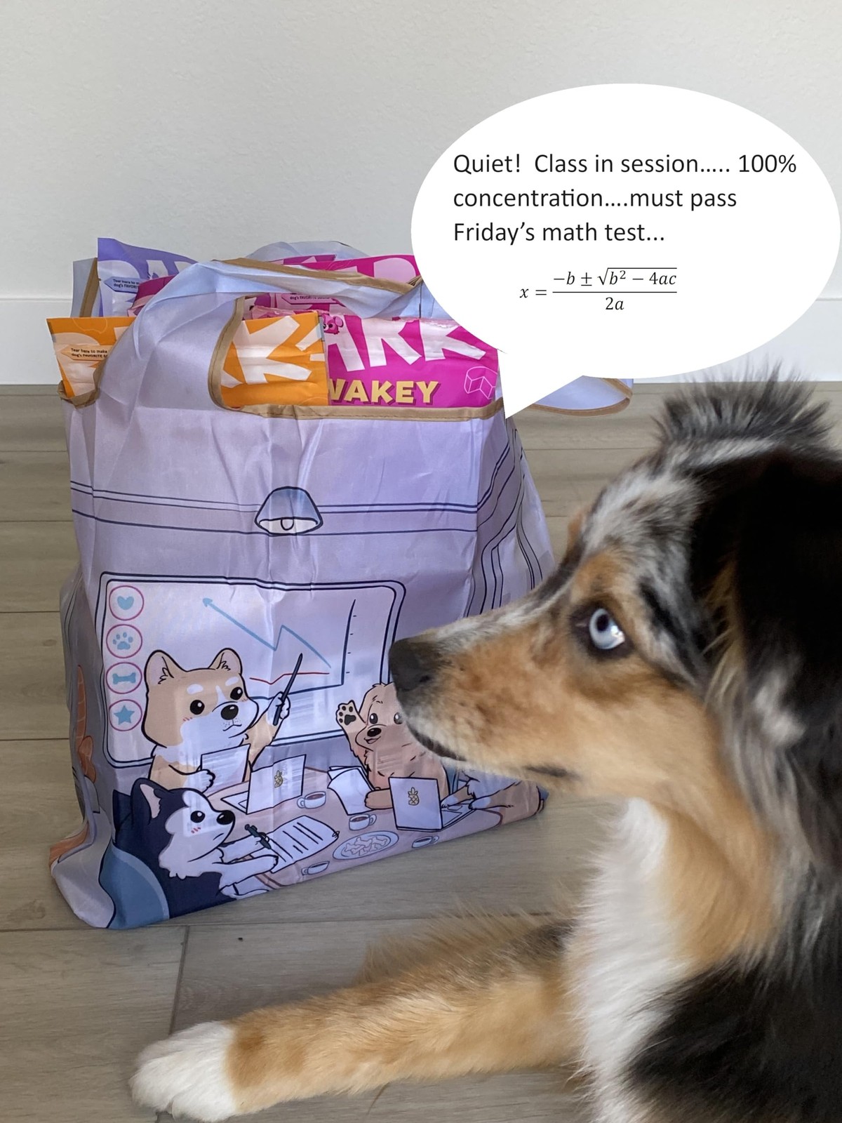 Medium Foldable Tote Nylon Reusable Grocery Bag (Set of 2), Dogs Rule