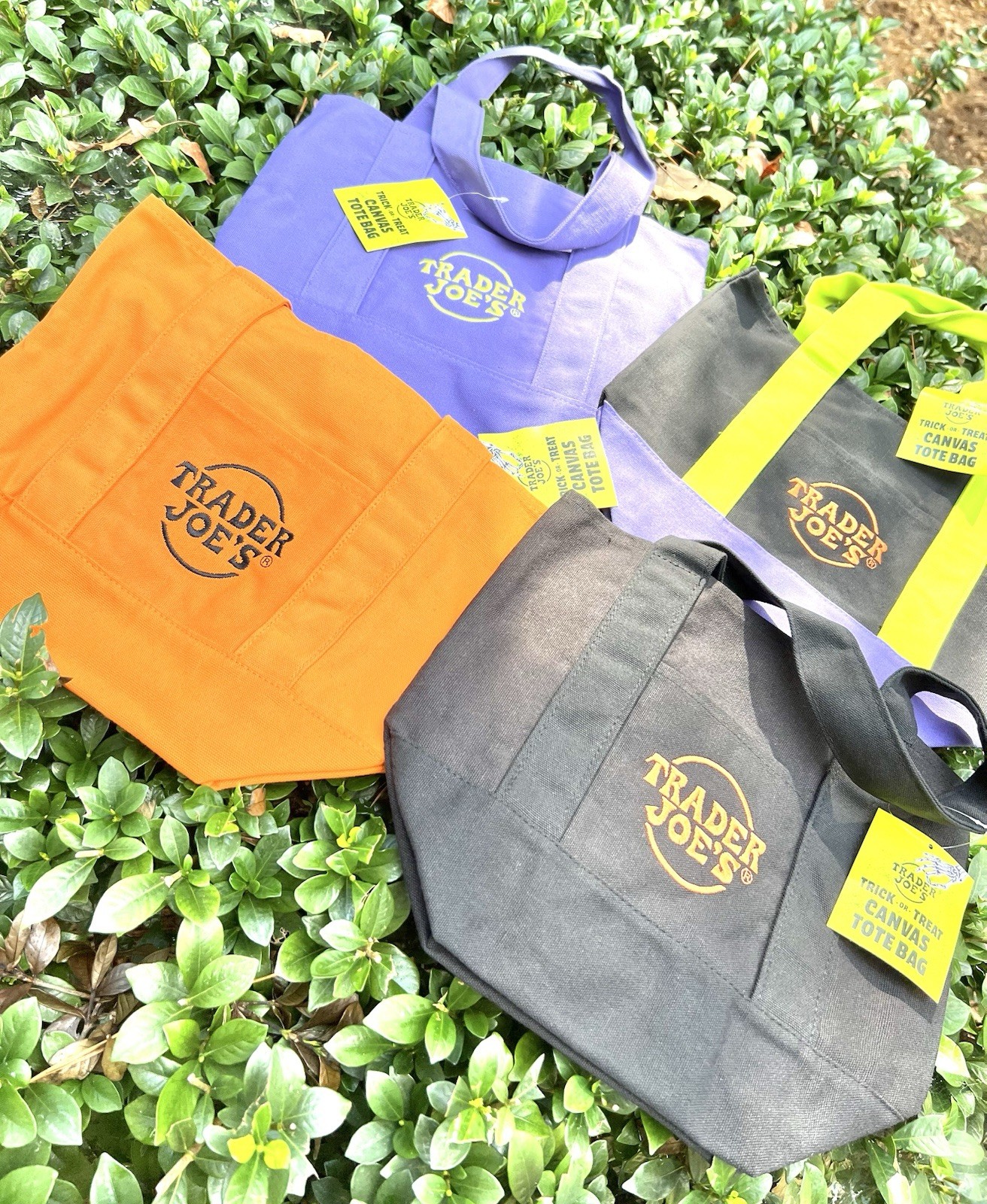 LOT (4) NEW TRADER JOE BAGS TOTES HALLOWEEN BLACK ORANGE PURPLE LAVENDER 5 lots