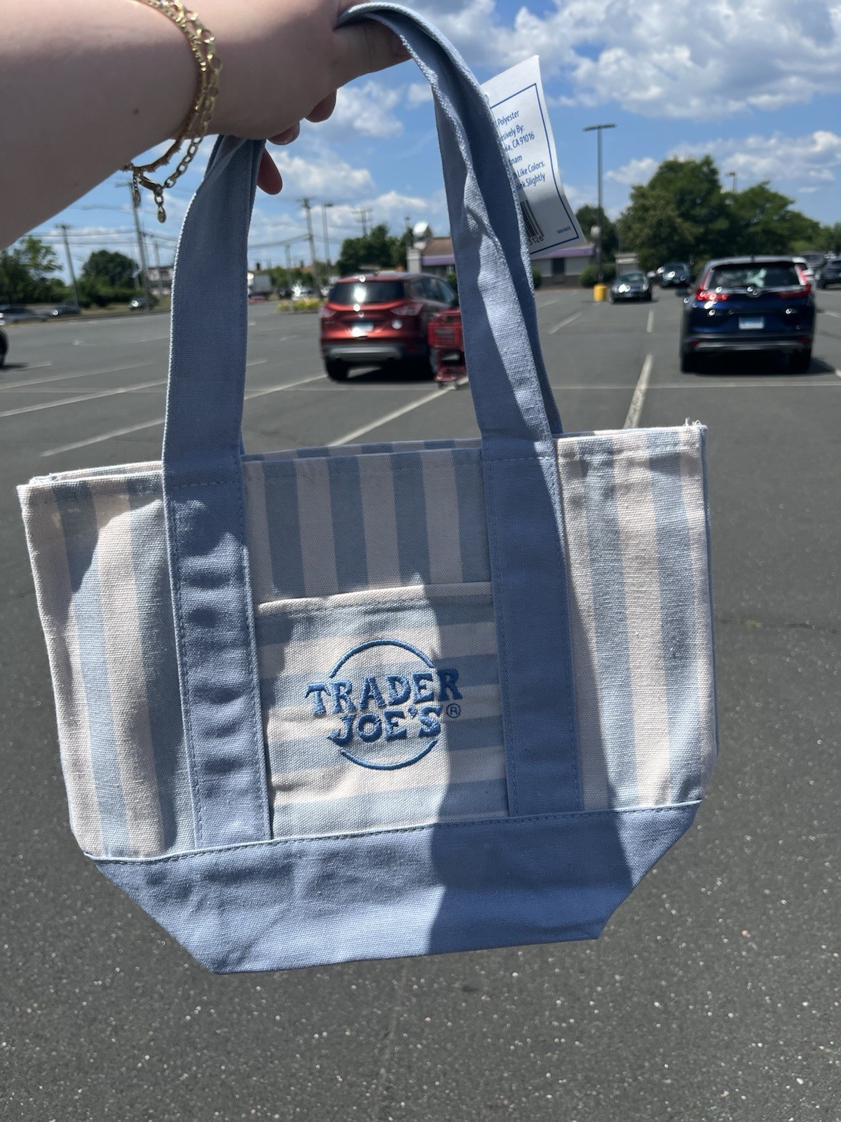 Trader Joe’s Mini Pastel Stripe Canvas Tote Bags Set of 4 Summer 2026 Viral Bag