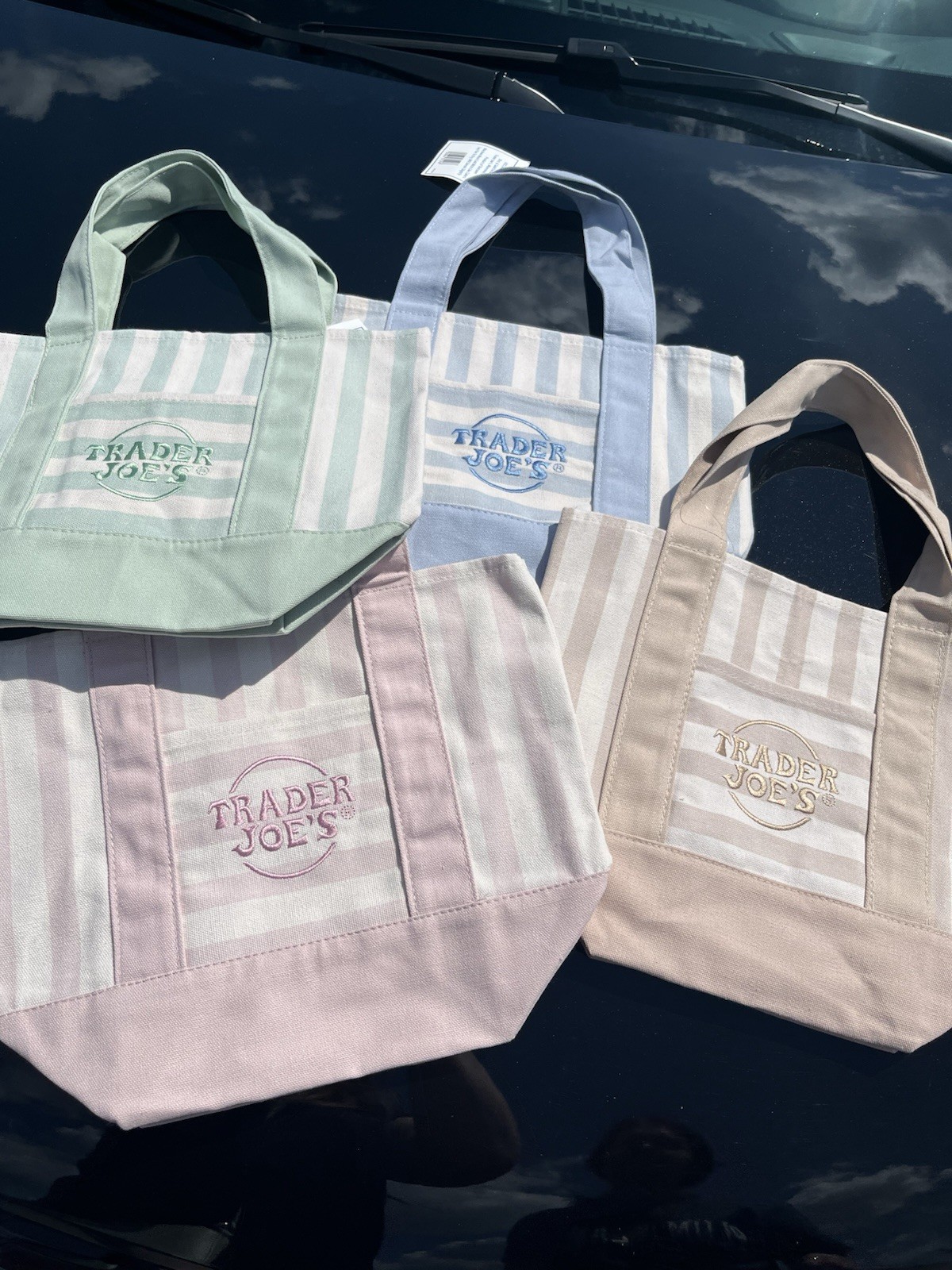 Trader Joe’s Mini Pastel Stripe Canvas Tote Bags Set of 4 Summer 2026 Viral Bag