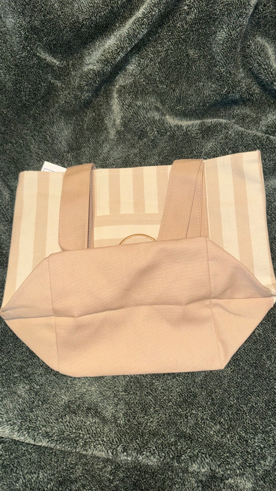 Trader Joe’s Limited Mini Canvas Pastel Striped Tote Bag 2026 Beige/Tan