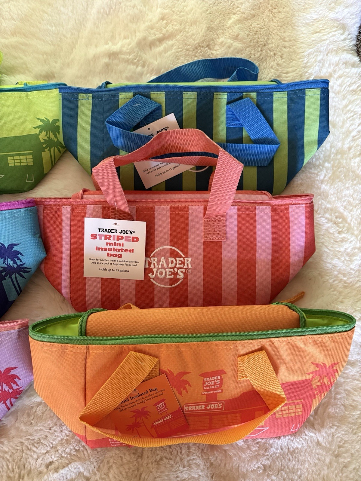 Trader Joe’s Mini Insulated Tote Bag 1.5 Gal Cooler Summer Fun 2026 Set Of 6