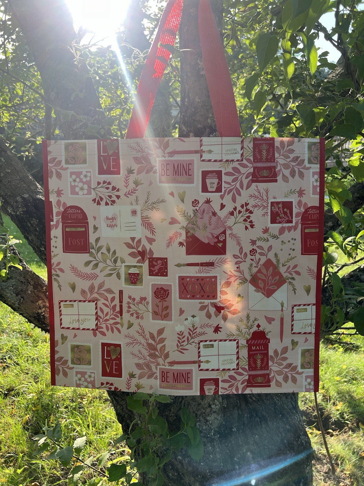 Reusable Shopping Bag Valentines Day Love Mail Hearts Homegoods Gift Pink New!