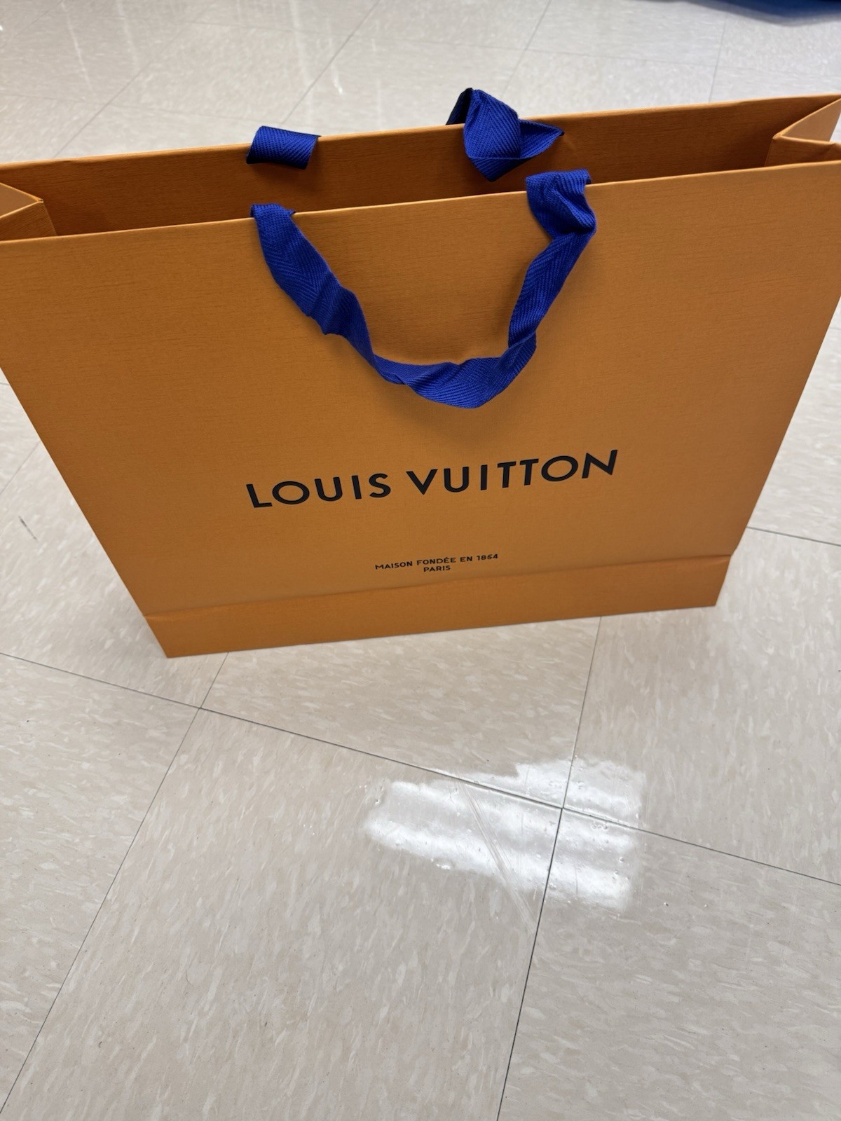 Set of 10-LOUIS VUITTON Large Shopping Tote Gift Bags Authentic