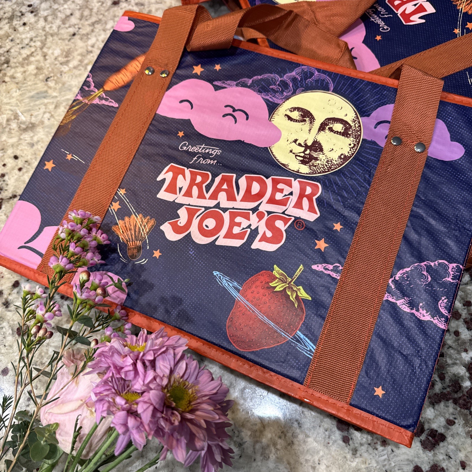 Trader Joe’s Stand-Up Collapsible Grocery Tote Bag NWT