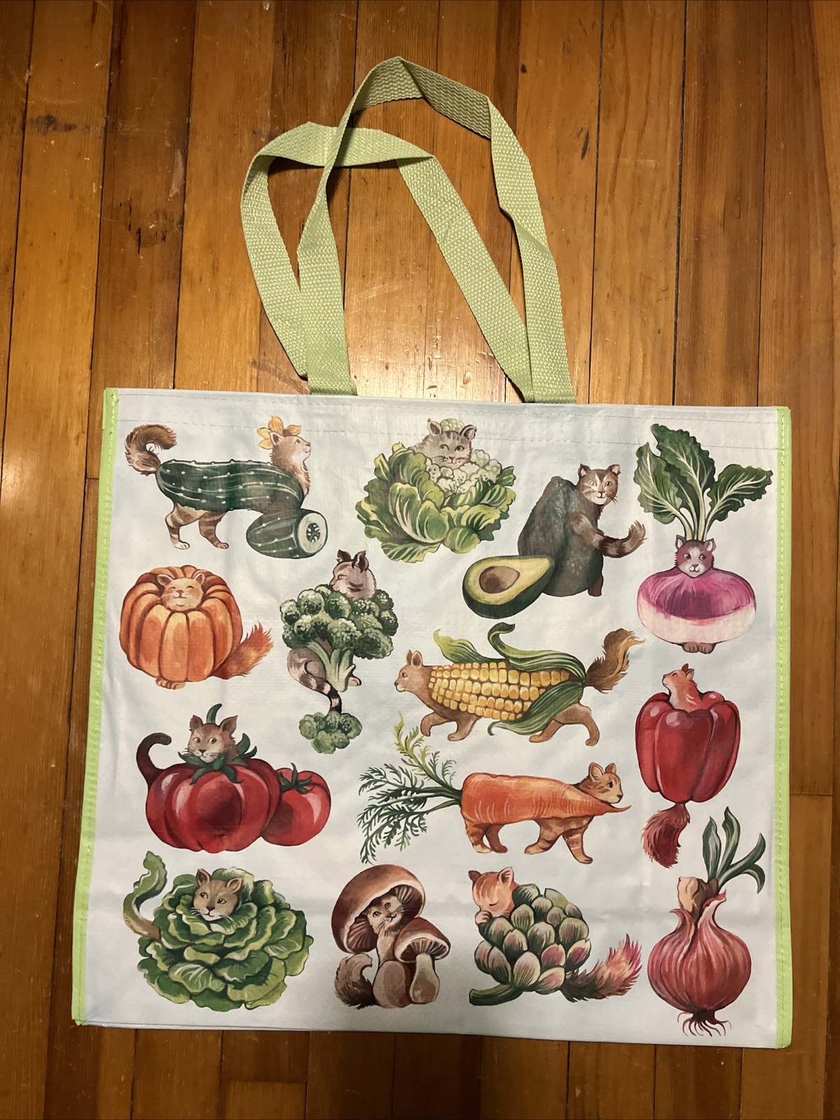 TJ MAXX Fancy Cats As Fancy VEGGIES- Large Reusable Shopping Tote Eco Bag
